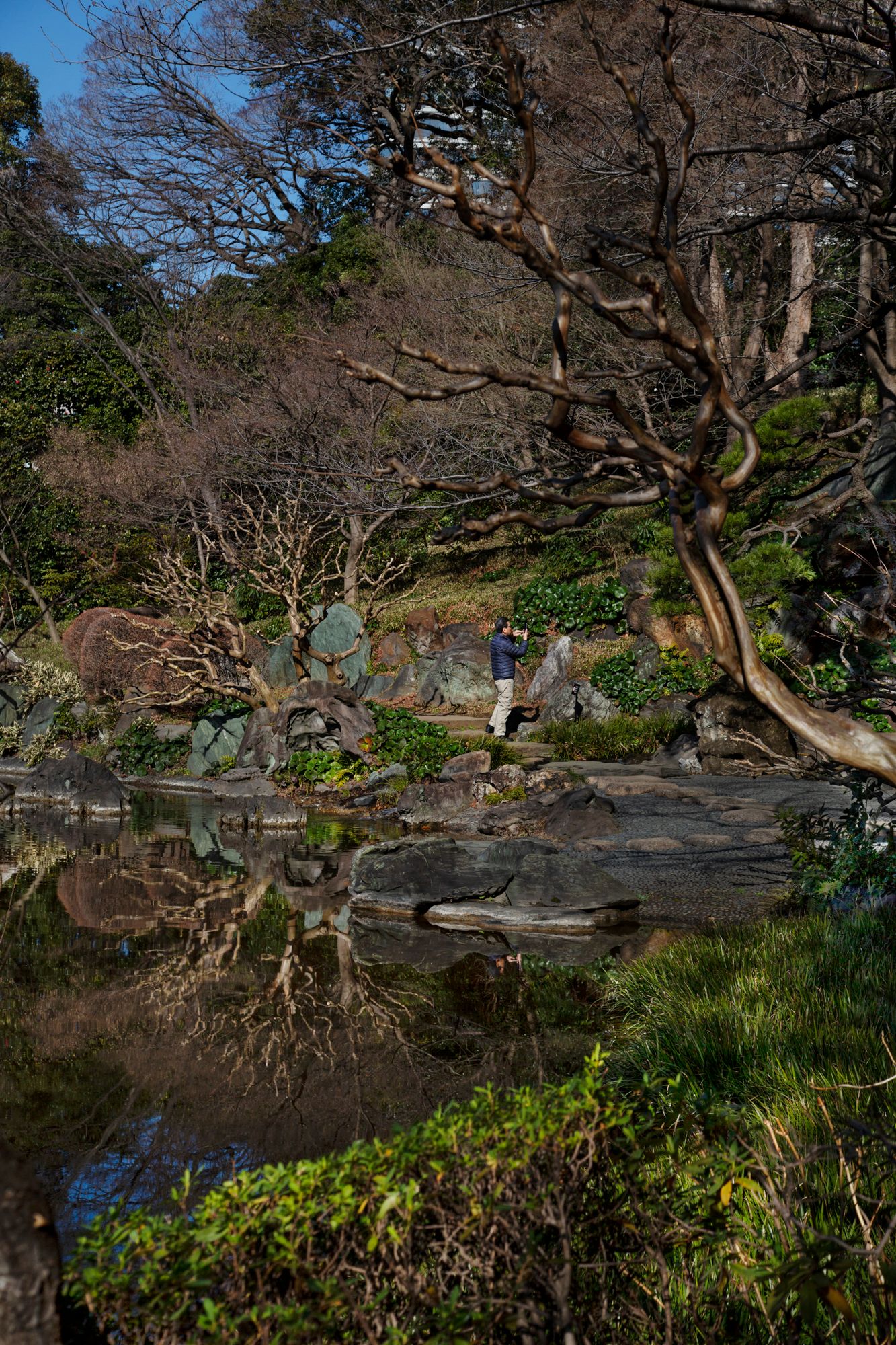 Japanese garden with twisted trees and rocks surrounding a peaceful pond.