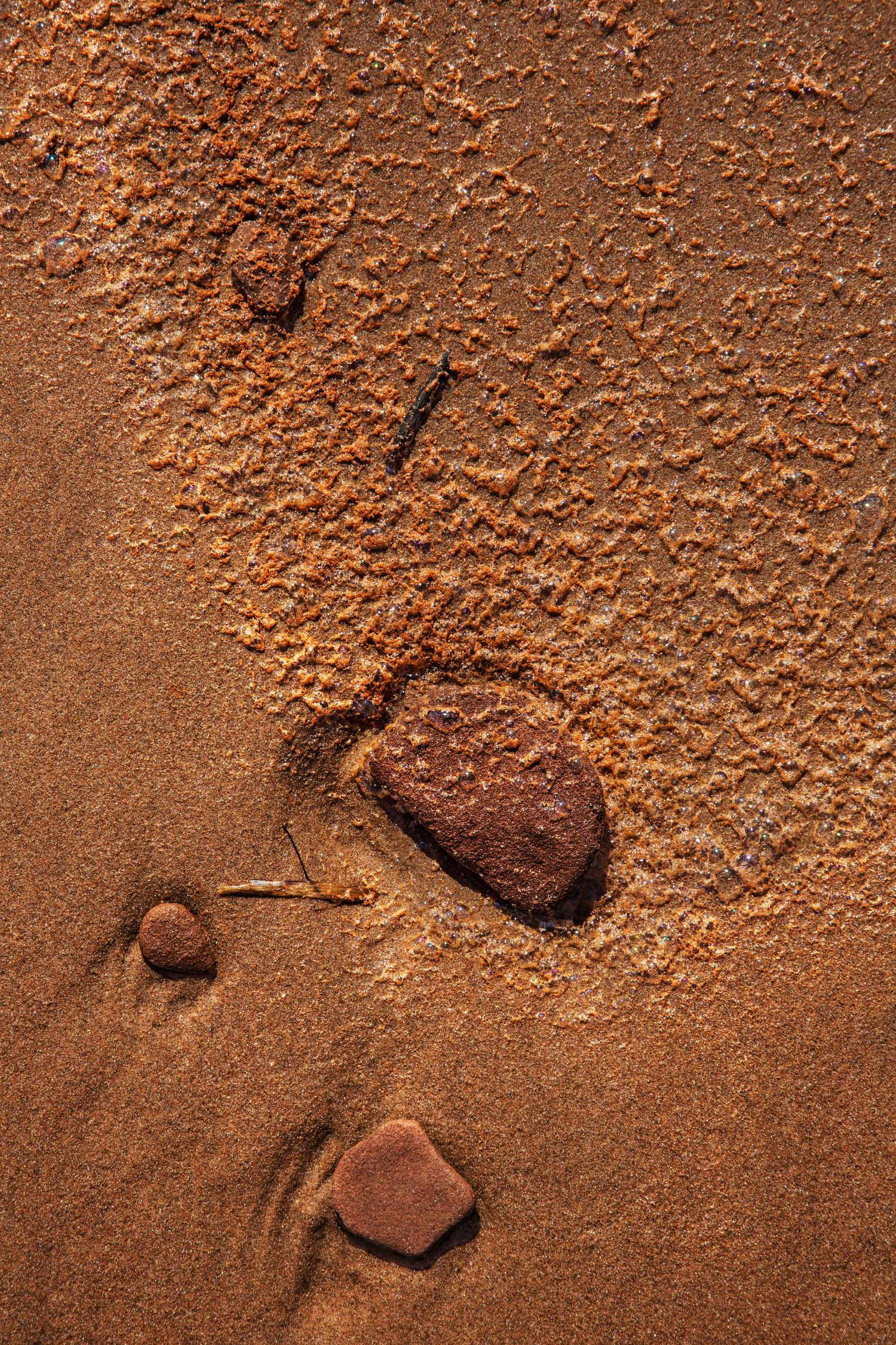 Textured reddish-brown sand or soil surface with small rocks scattered across.