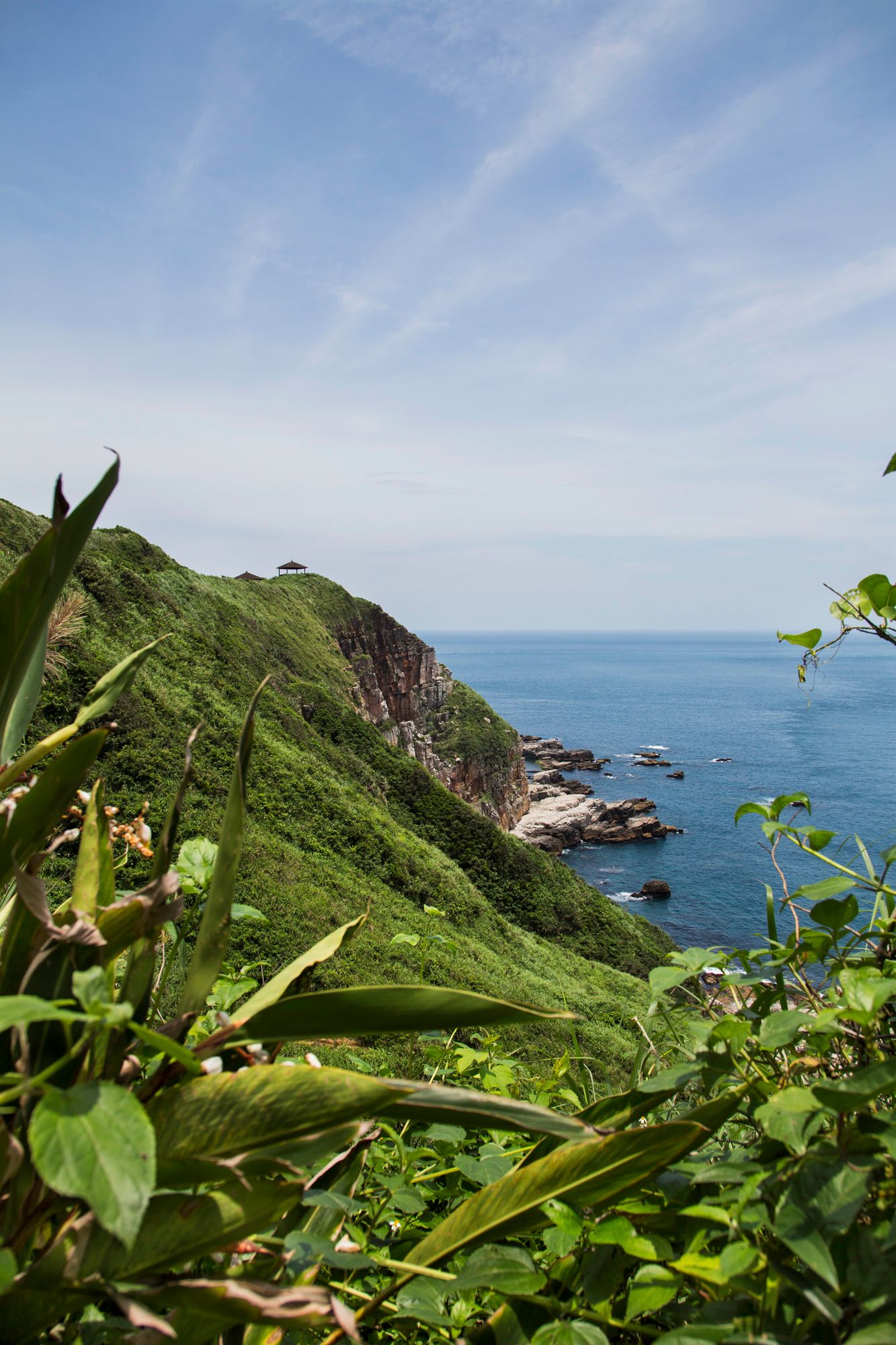 Dramatic coastal cliff view with lush green vegetation and blue ocean waters below.