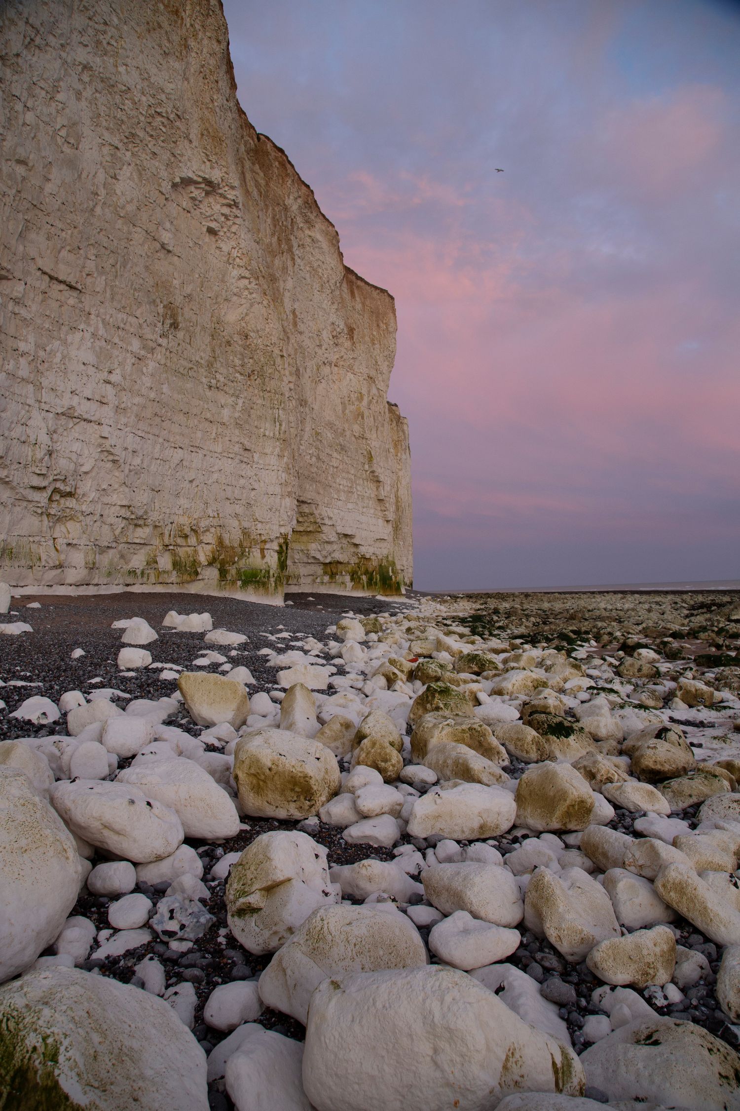 Towering white chalk cliffs at sunset with scattered rocks on the beach below.