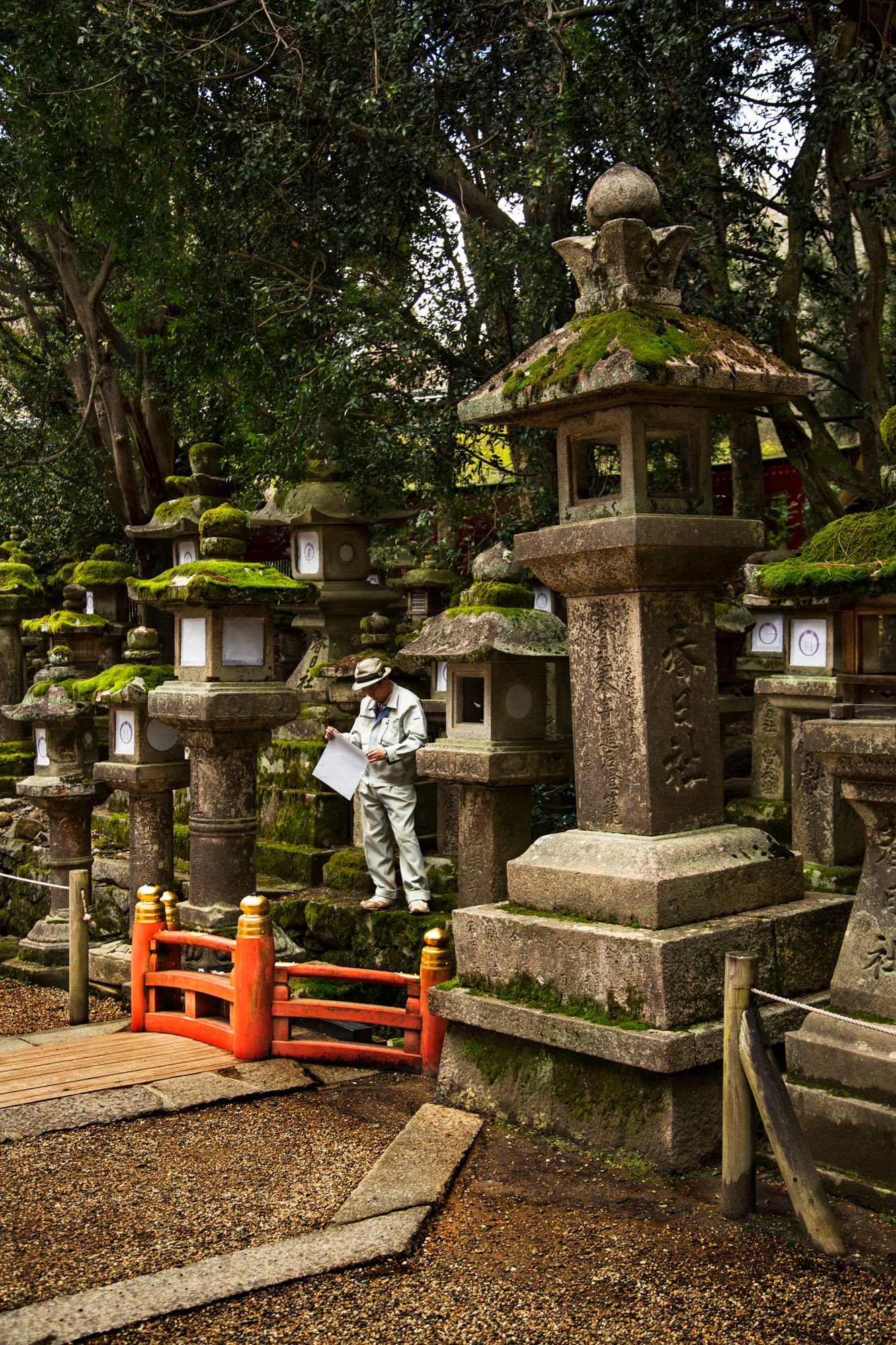 Stone lanterns covered in moss at a traditional Japanese temple garden.