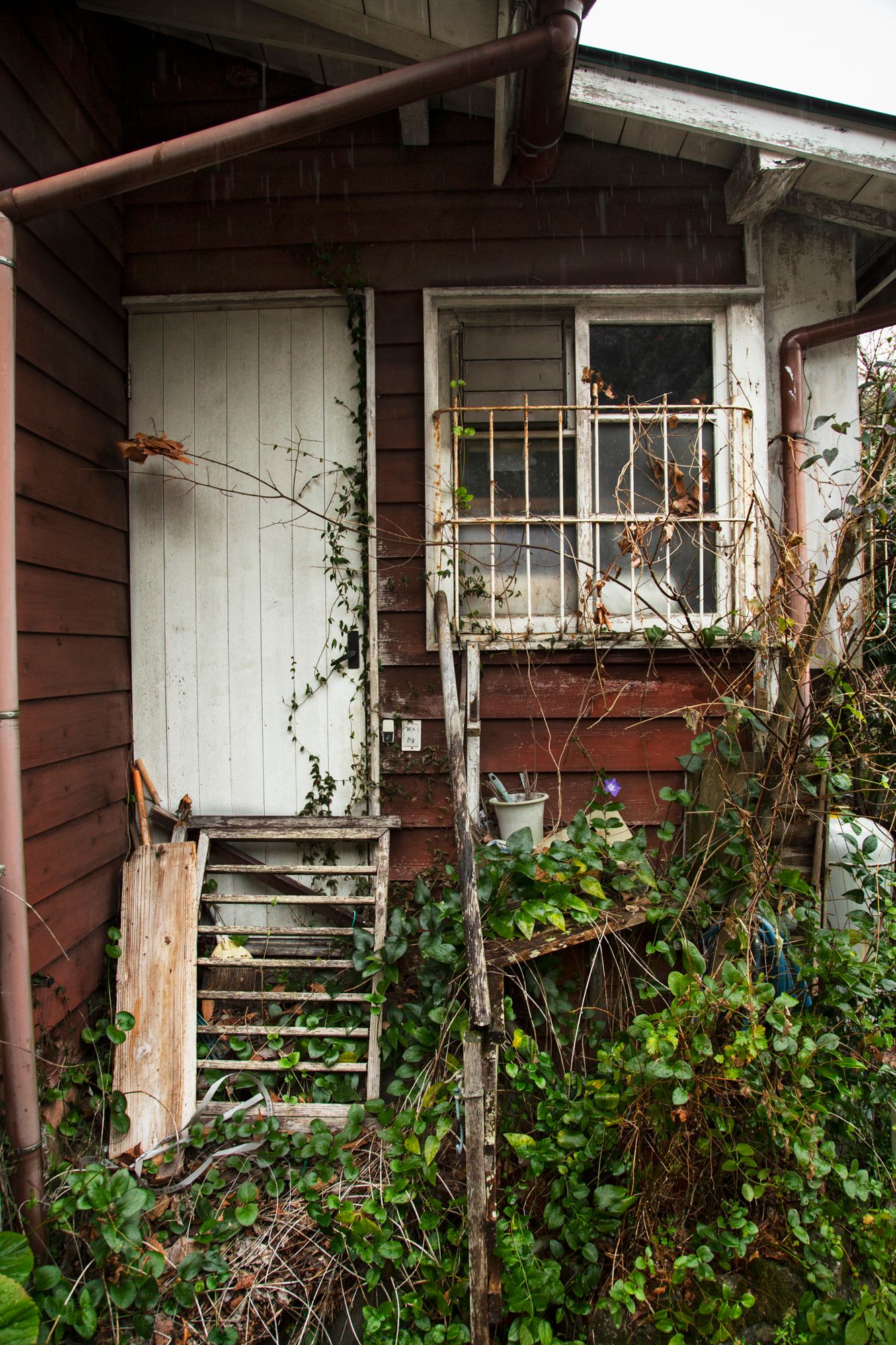 Abandoned wooden house with overgrown vegetation and weathered steps.