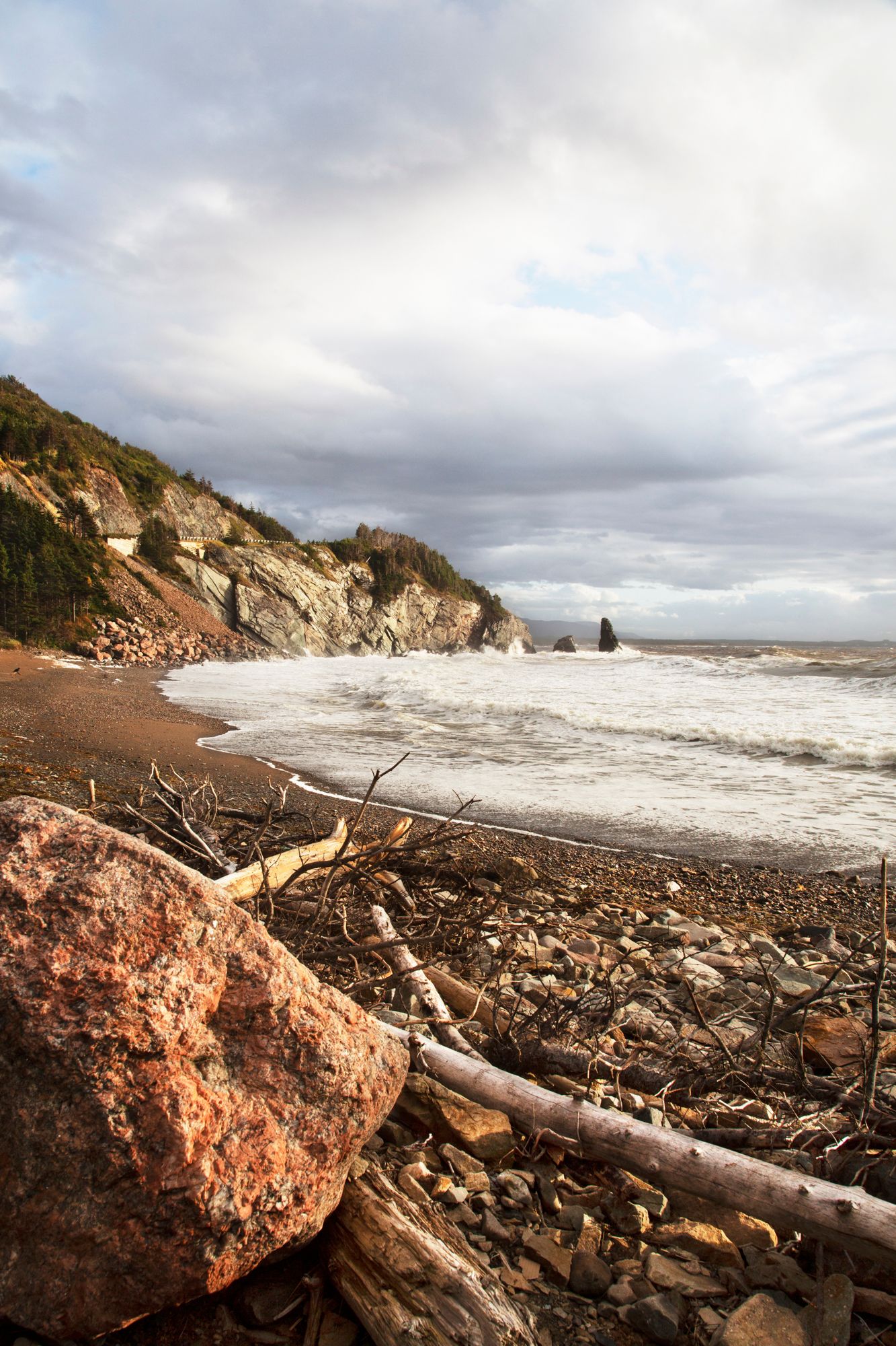 Rocky beach strewn with driftwood below steep cliffs on a cloudy maritime shoreline.