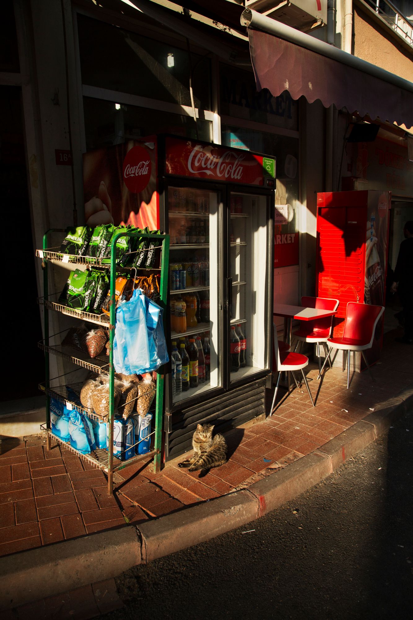 Small storefront with Coca-Cola sign and cat sitting near entrance.