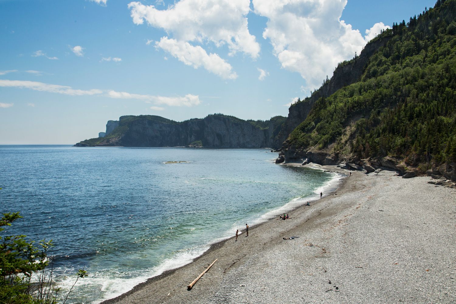Rocky beach with clear blue water and forested cliffs along a scenic coastline on a sunny day.