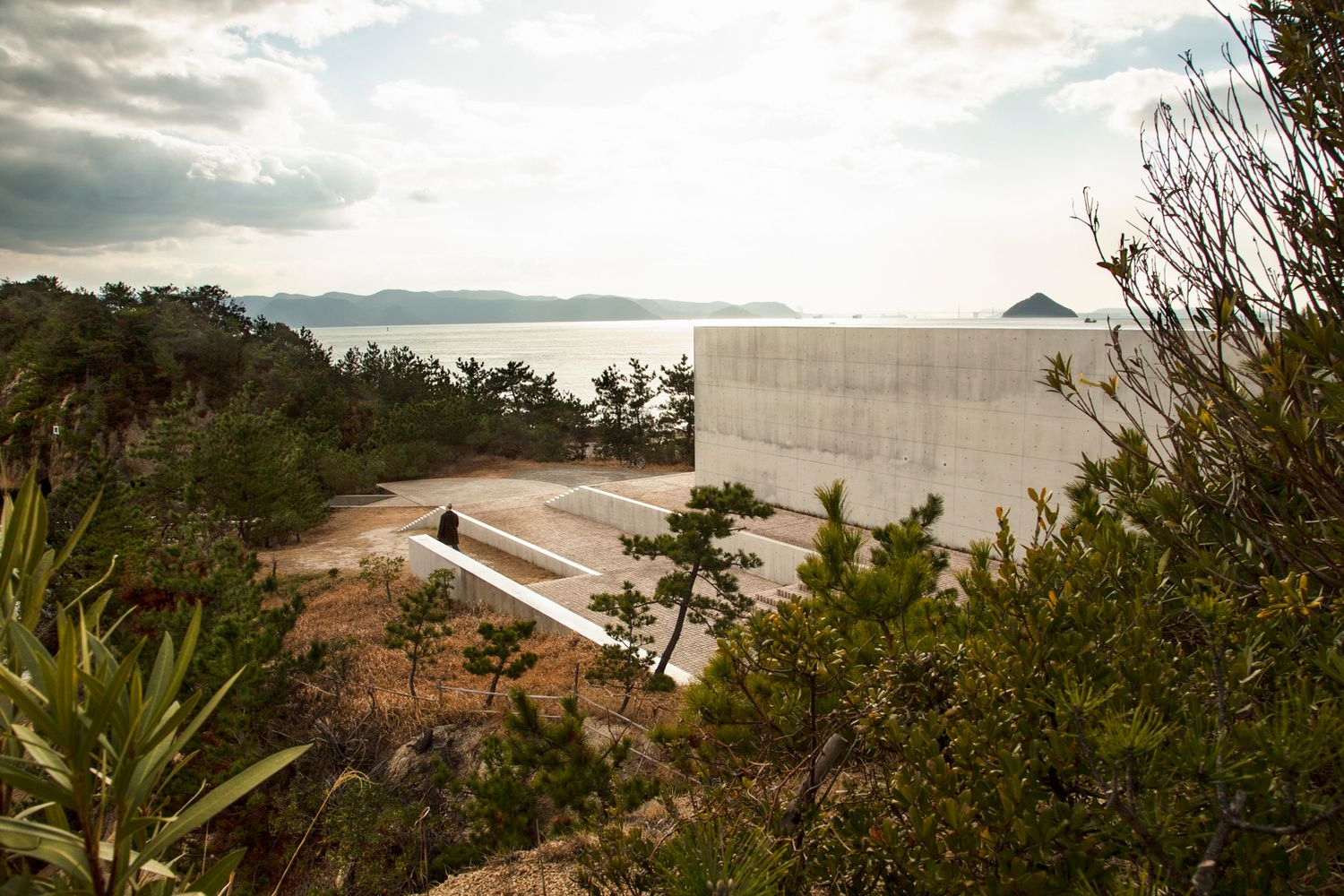 Coastal landscape view with modern buildings visible through tropical vegetation.
