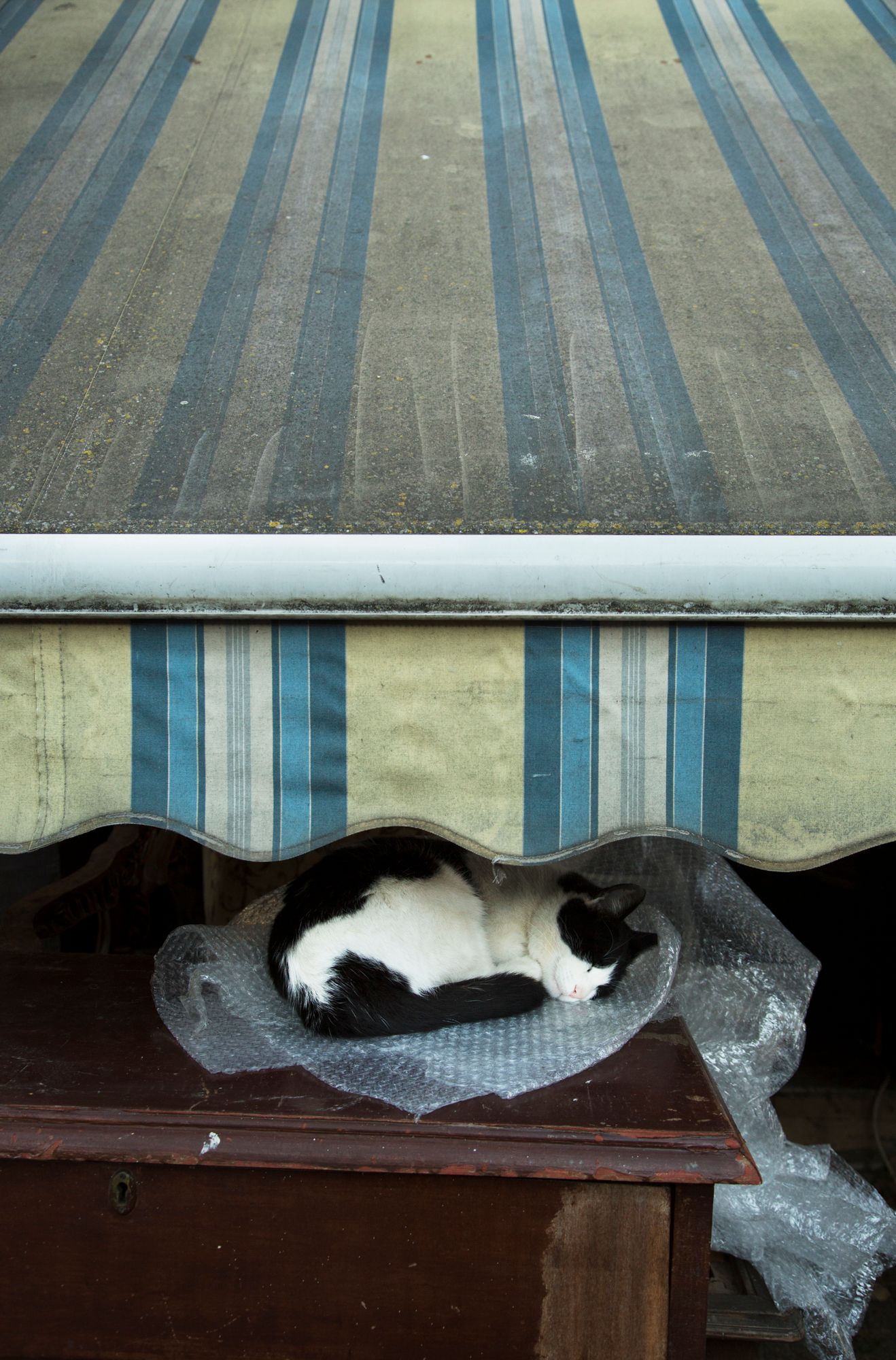 Broken awning material dangles from a blue and white striped outdoor cover.
