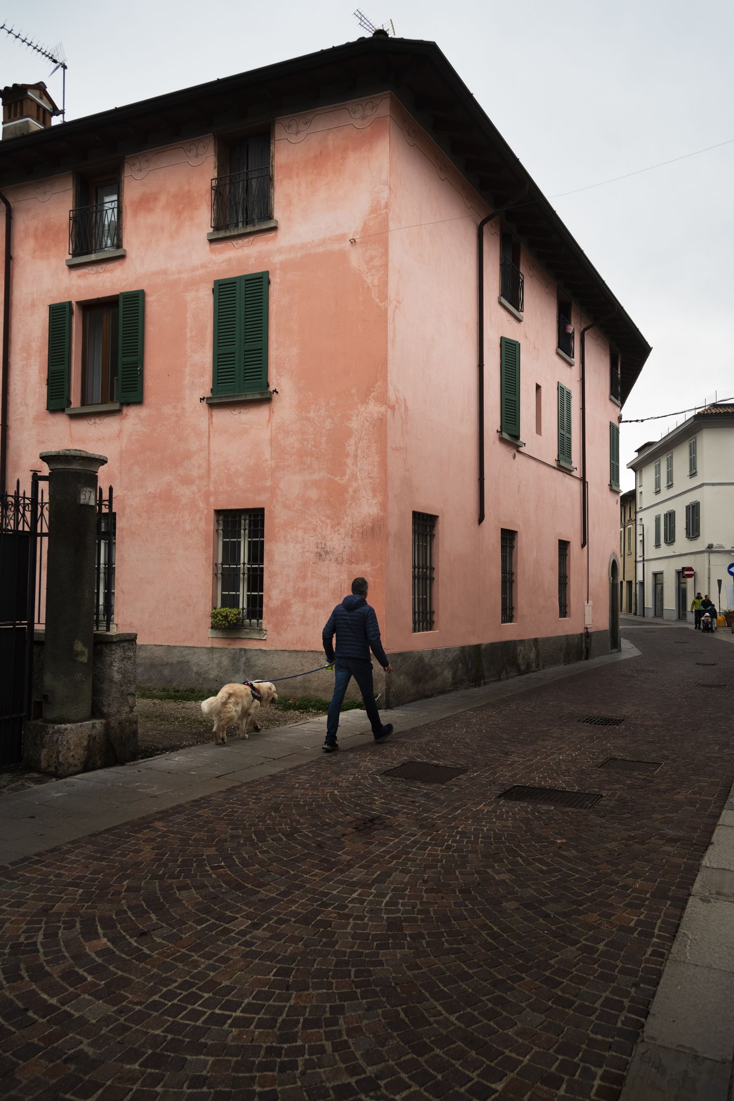 Person walking a white dog on cobblestone street beside a pink building with green shutters in an Italian town.