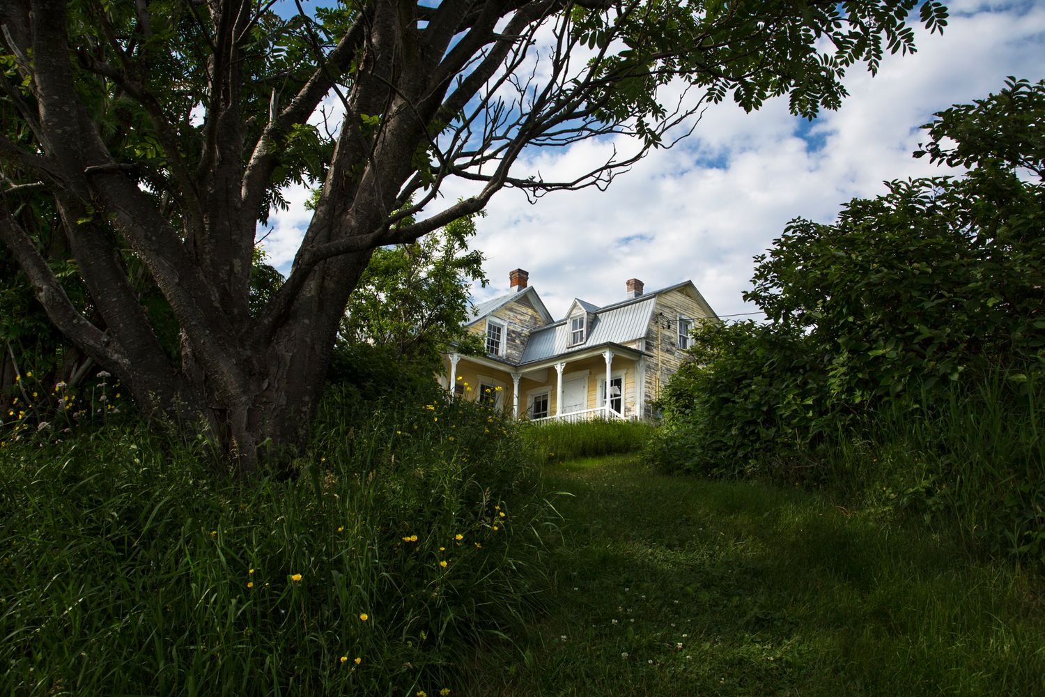 White historic house peeking through trees on grassy hillside.