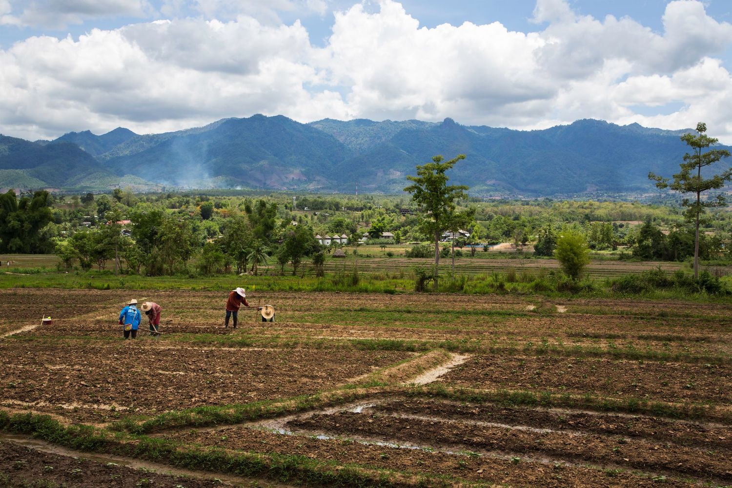 Agricultural fields with farmers working against a backdrop of misty mountains.