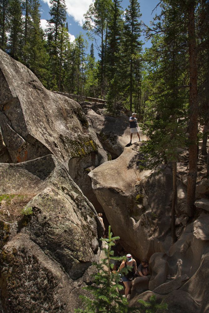 Rocky forest trail winding through large boulders and pine trees in bright sunlight.