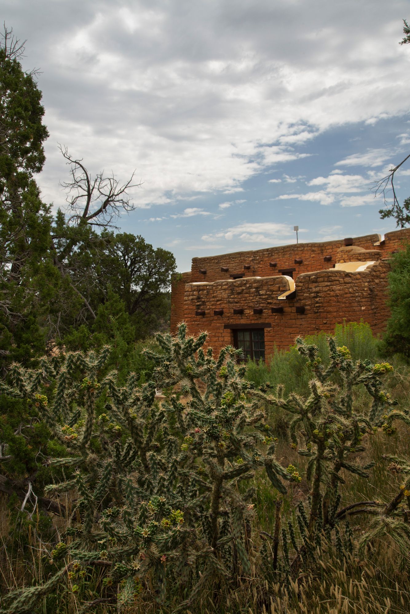 Ancient adobe ruins with desert cactus plants growing in the foreground against a cloudy southwestern sky.