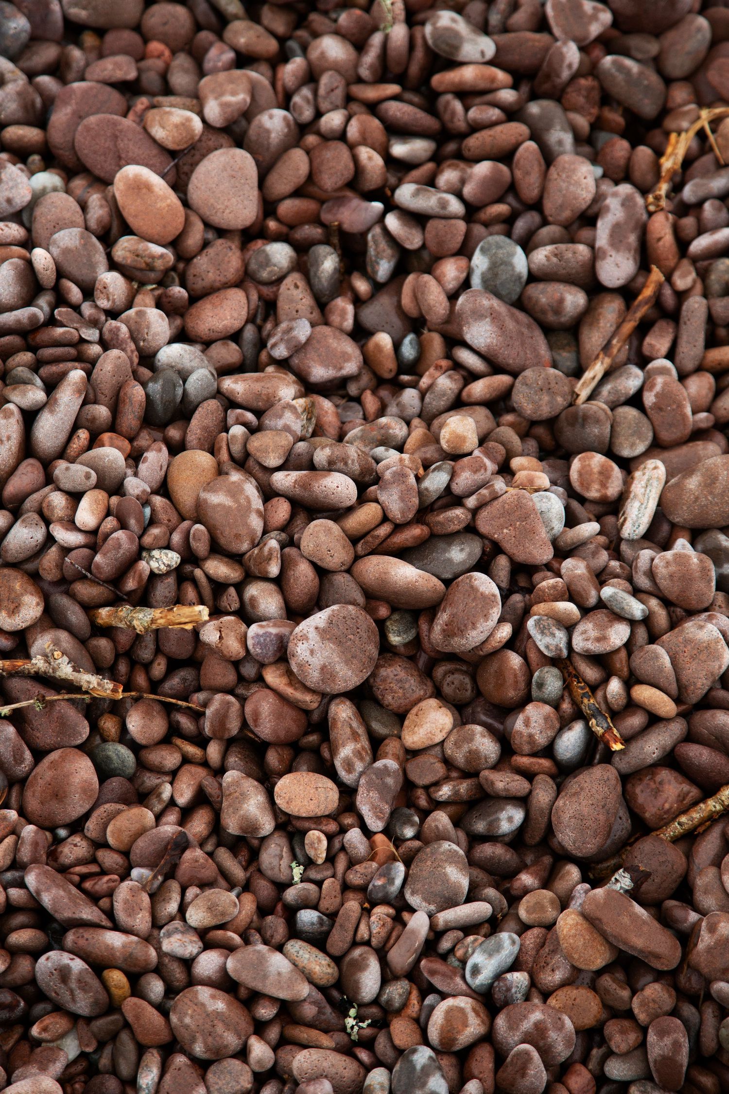 Close-up texture of smooth brown river rocks filling the entire frame.
