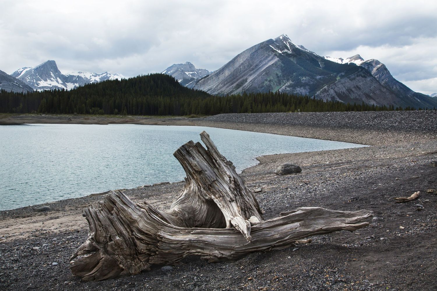 Snow-capped mountain peaks and driftwood along a pristine lake shore.