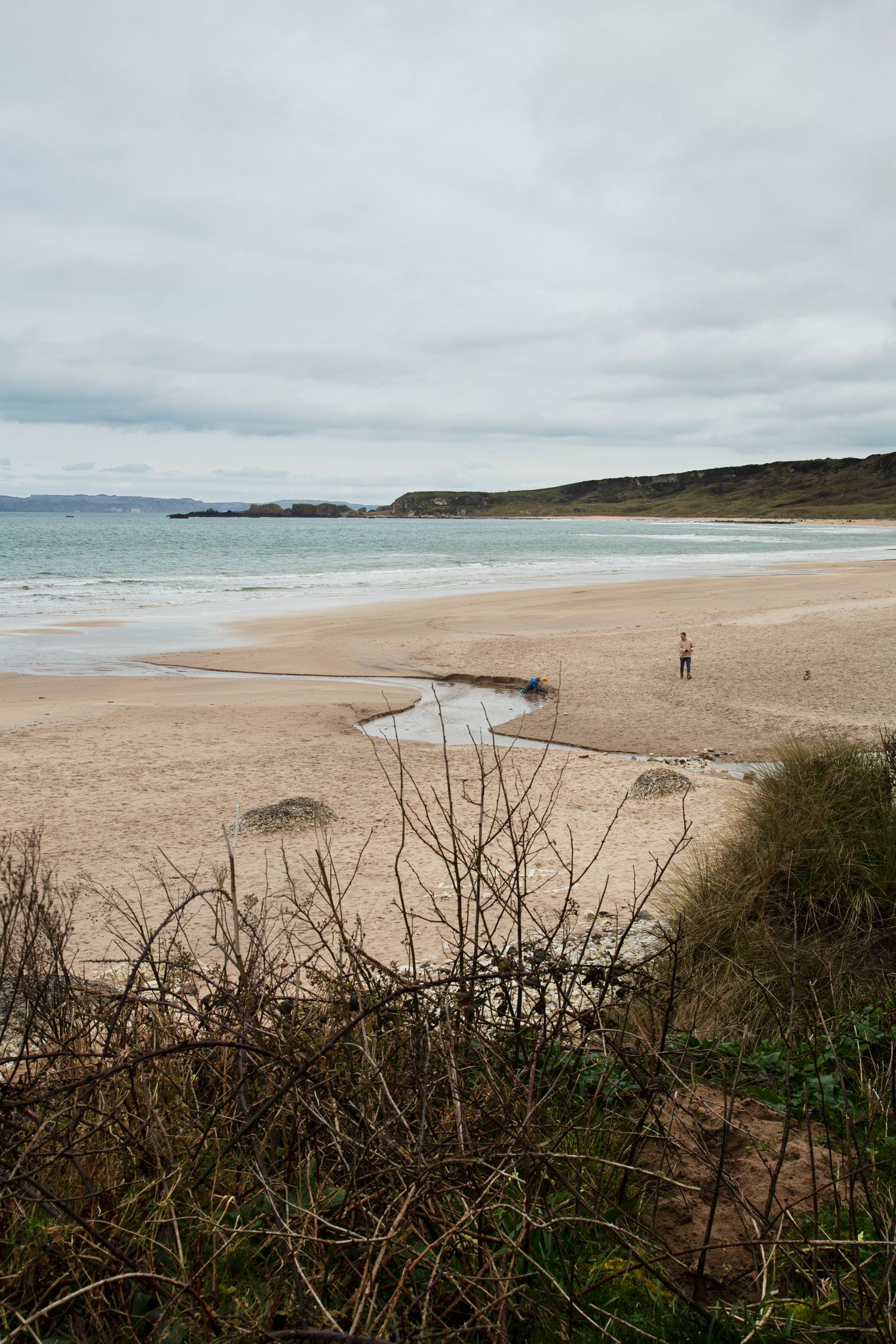 Wide sandy beach stretches along coastline with green shrubs and cloudy horizon.