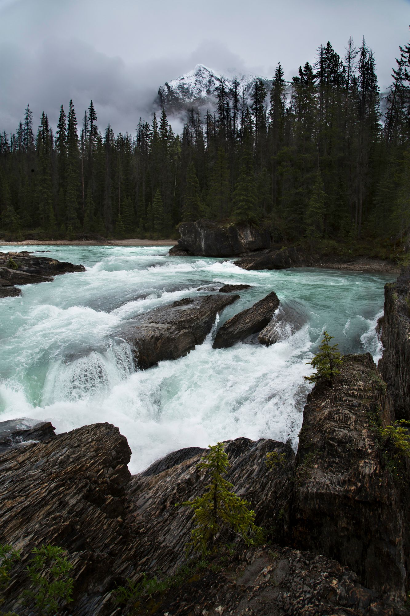 Powerful waterfall cascades over rocky cliffs with snow-capped mountain peaks visible through misty forest.