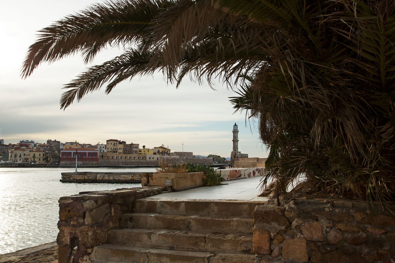 Palm tree framing view of harbor and historic buildings at sunset.