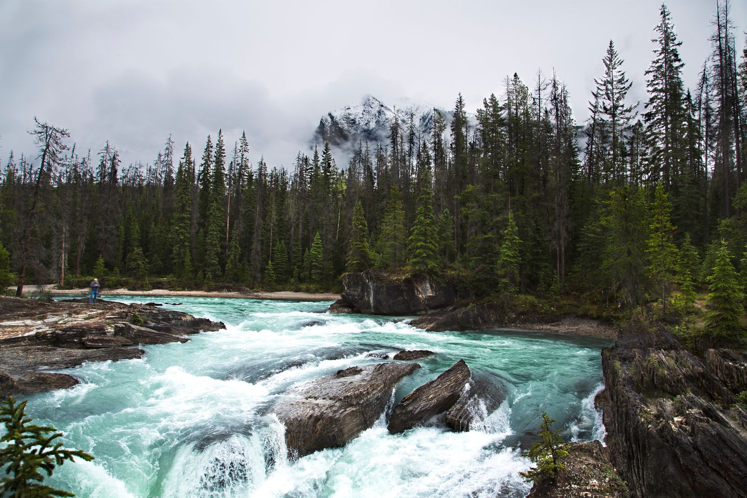 Turquoise rapids flow through rocky terrain surrounded by evergreen forest and mountain peaks.