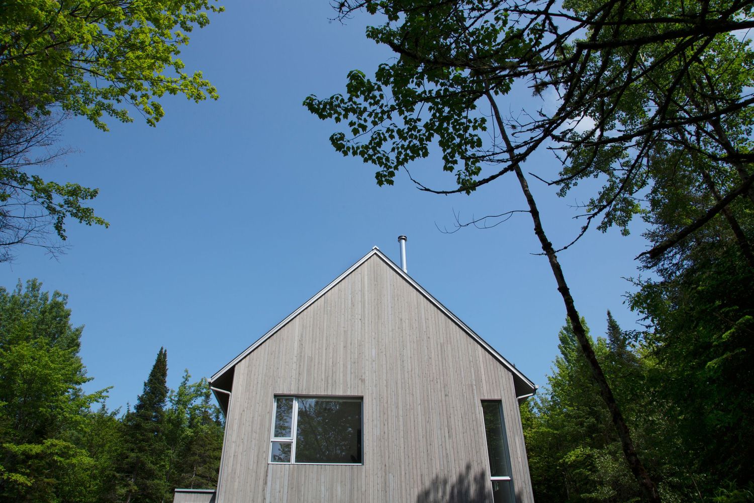 Modern gray wooden house with large windows framed by green summer foliage.