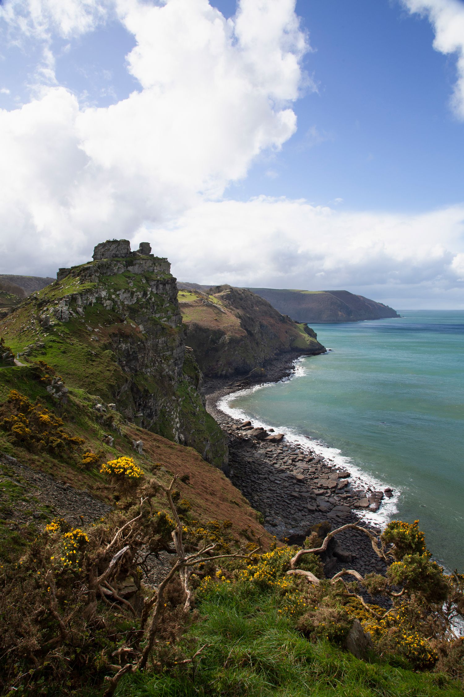 Dramatic coastal cliffs and turquoise waters along a rugged coastline with yellow wildflowers in the foreground.