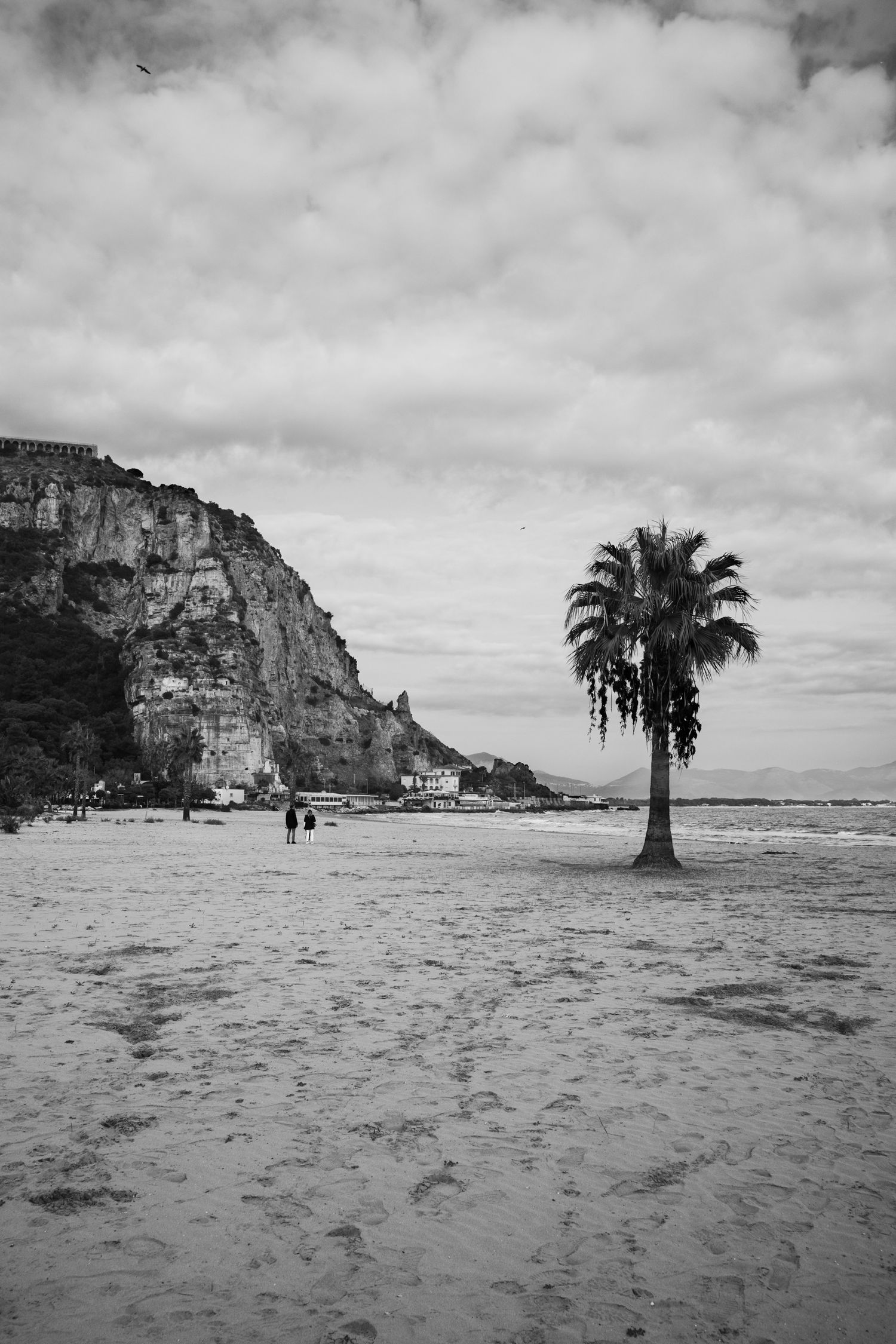 Black and white beach scene with a lone palm tree, rocky cliff, and two distant figures on sandy shore under cloudy sky.