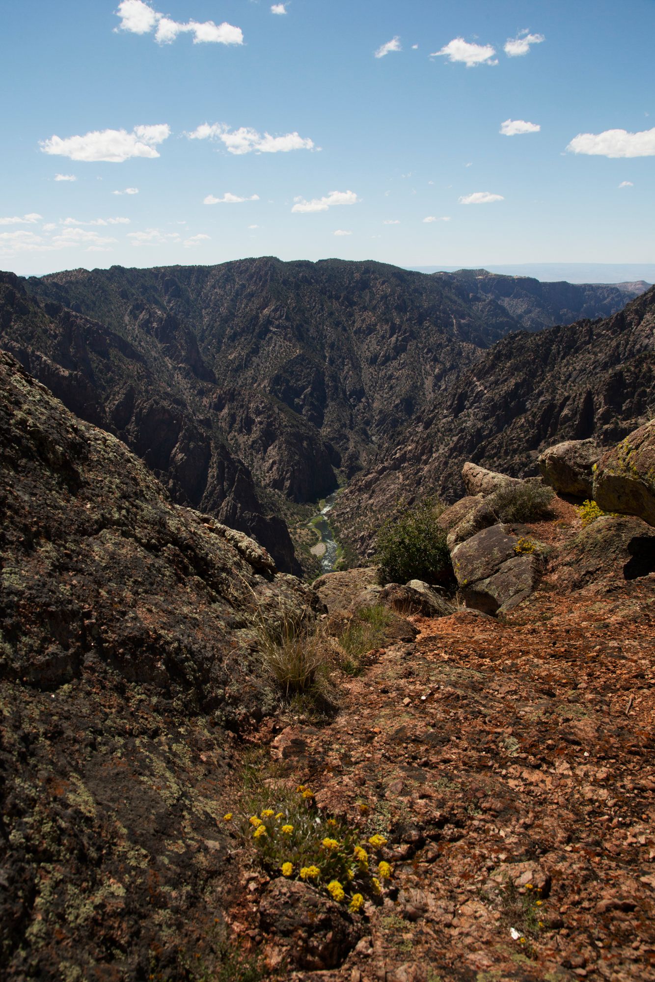 Panoramic view of rugged mountain canyons with yellow wildflowers blooming along rocky terrain under blue skies.
