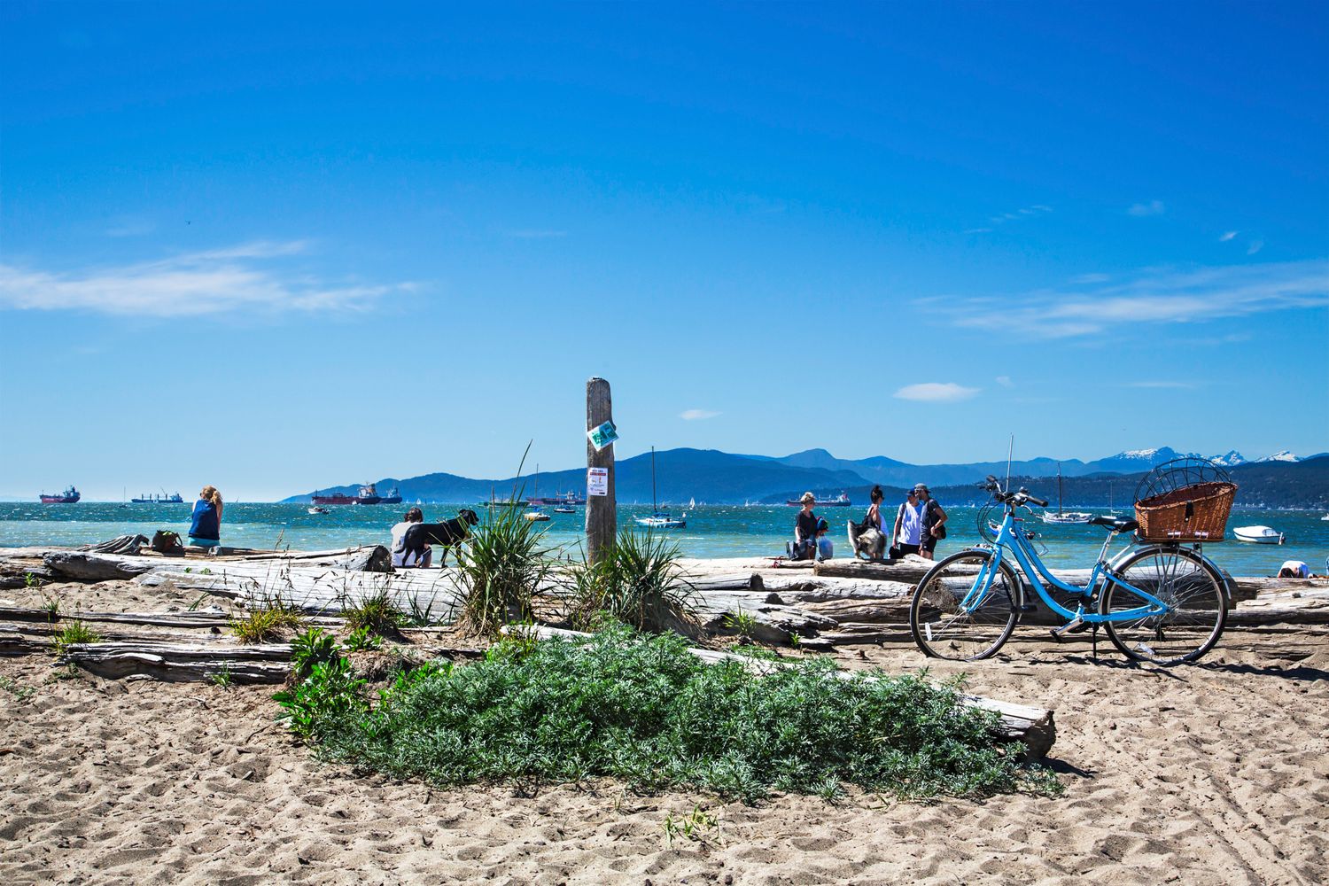 Beach scene with bicycles parked near driftwood on a sunny day with mountains in the distance.