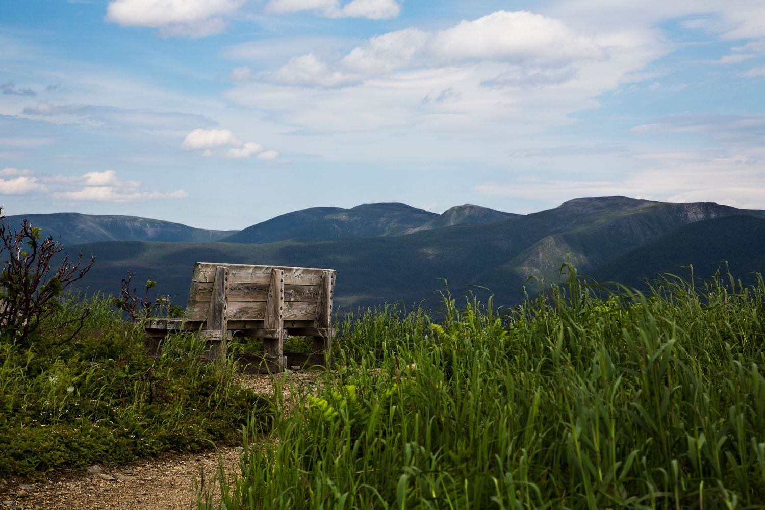Wooden bench overlooking mountainous landscape with lush green grass in foreground.