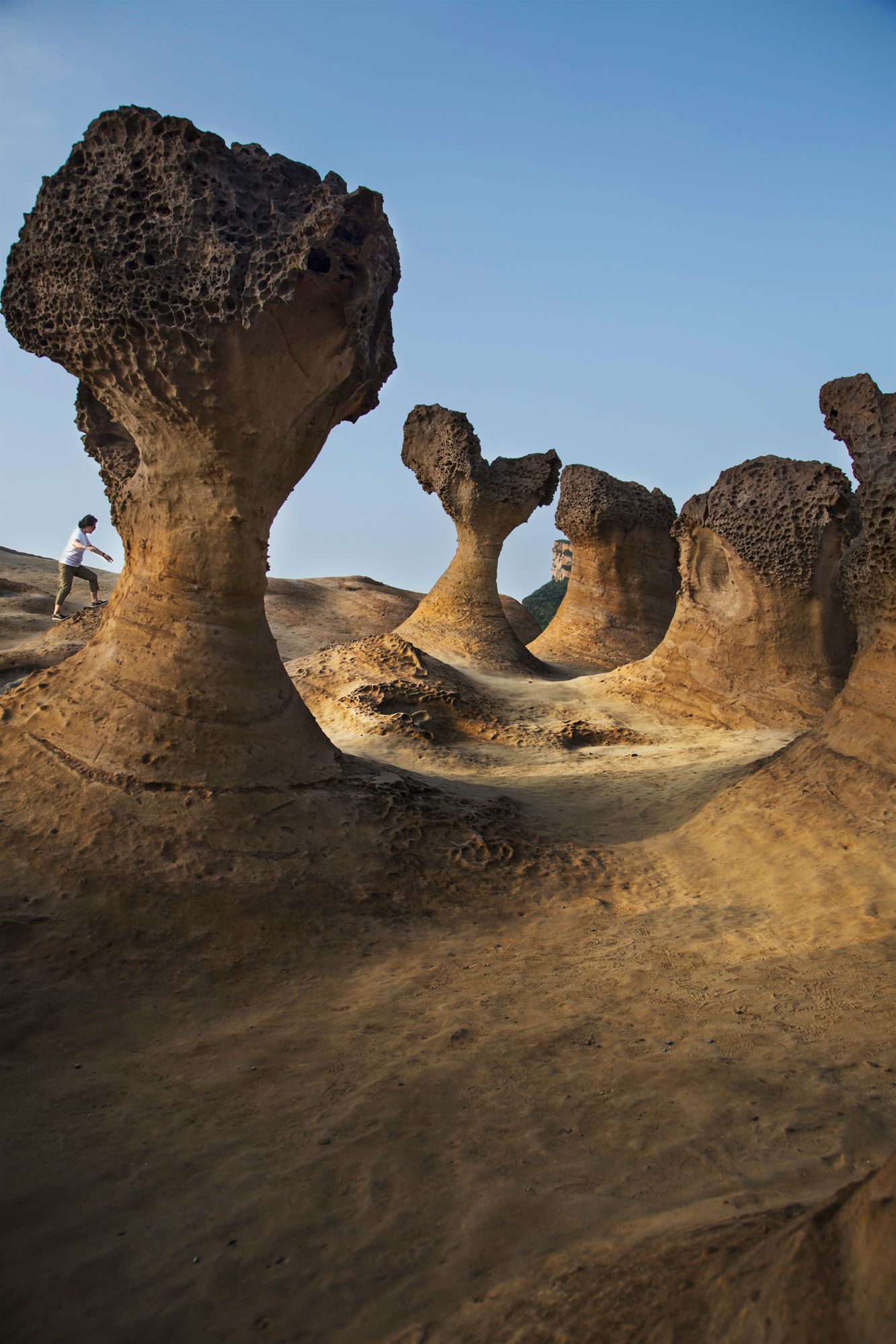 Unique mushroom-shaped rock formations at sunset in a desert landscape.
