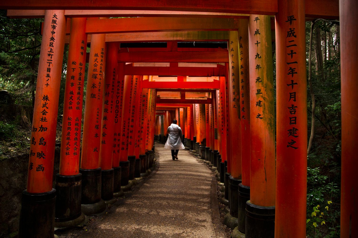 Pathway through vibrant red Torii gates at Fushimi Inari Shrine in Kyoto.