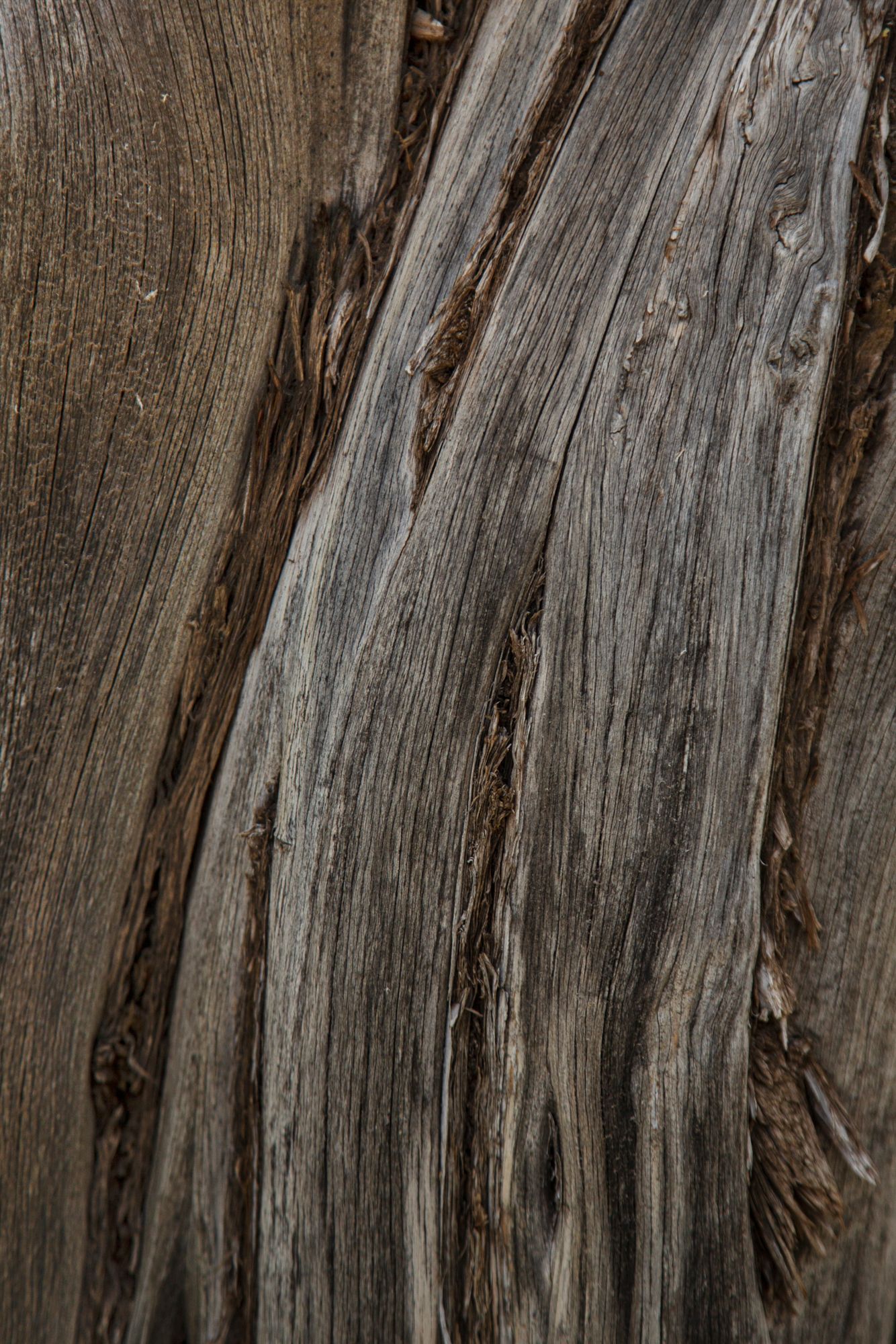 Close-up texture of weathered gray wooden planks with natural grain patterns and rough surface details.