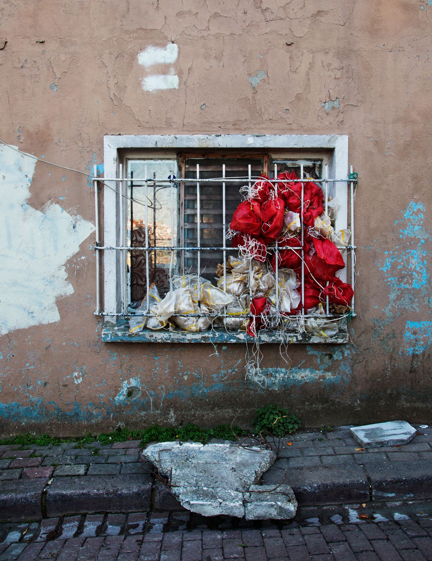 Red roses bloom in window boxes along a weathered building wall with peeling paint.