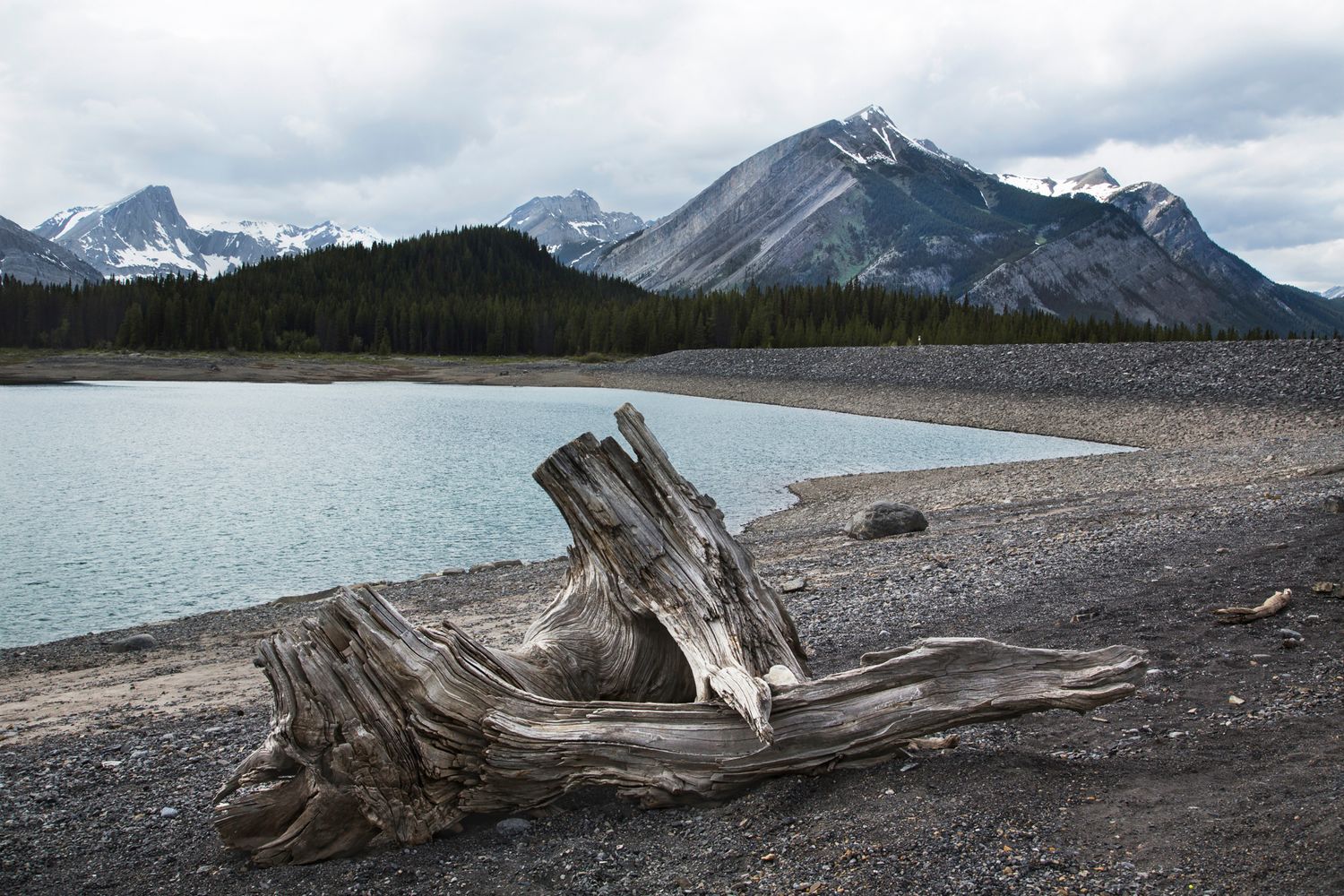 Driftwood scattered along rocky mountain lake shore with snow-capped peaks in background.