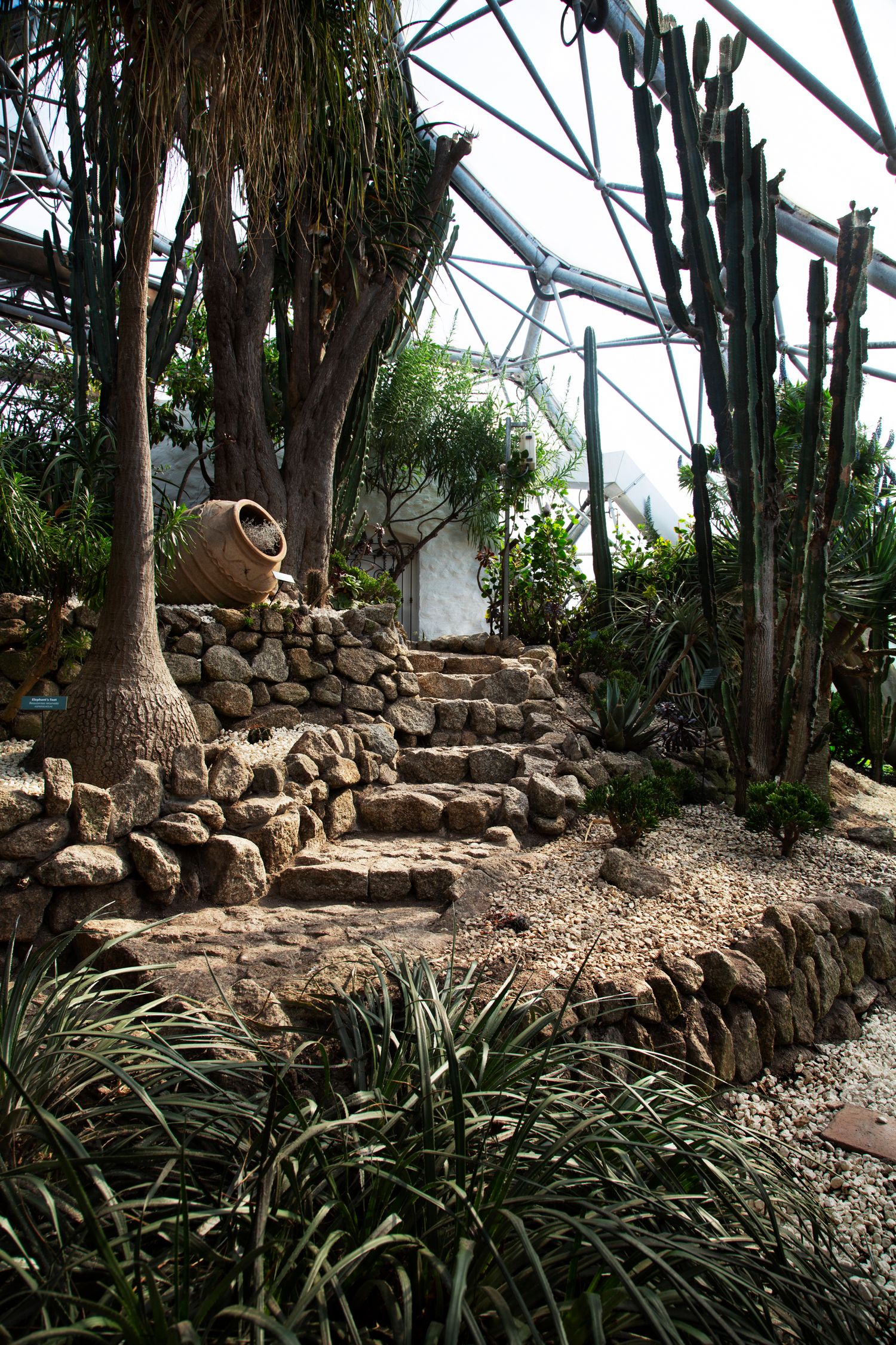Stone-walled garden path with tropical plants and rustic architectural elements.