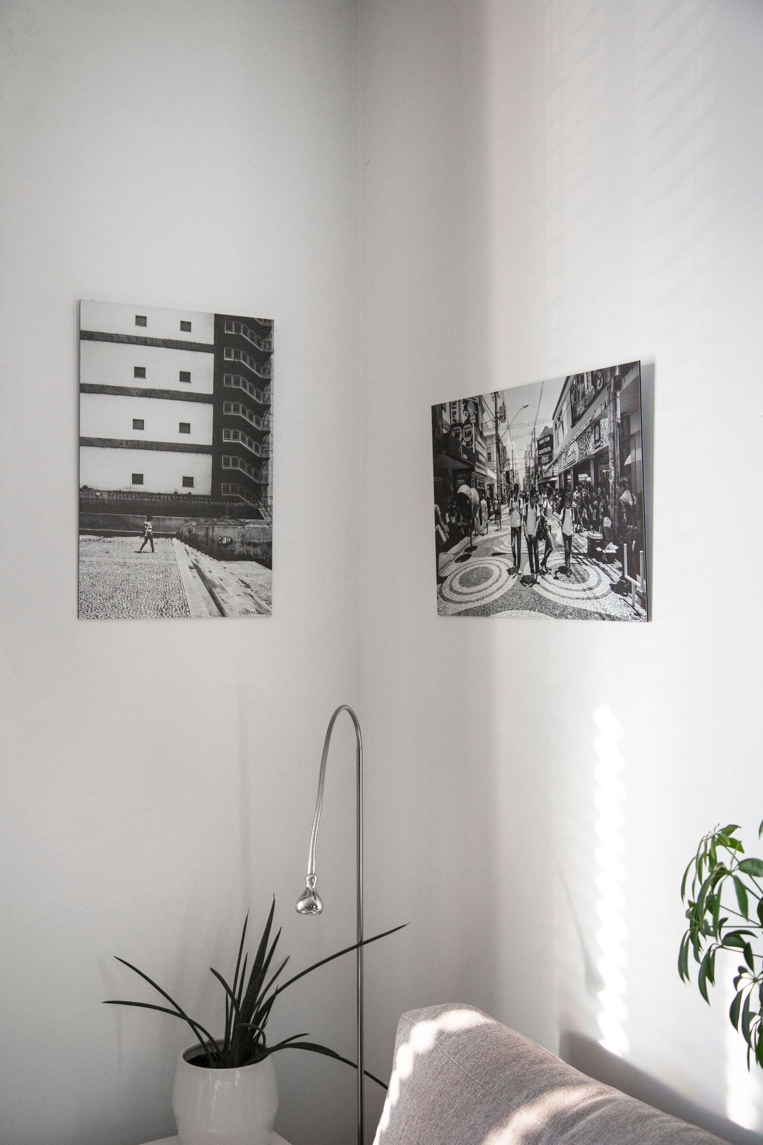 Minimalist white room with black and white photographs displayed on walls and indoor plants.