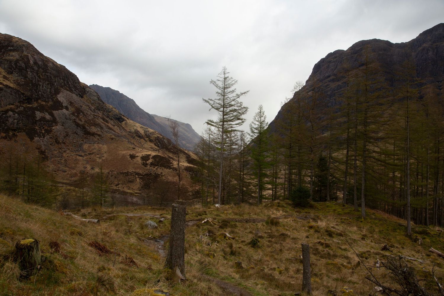 Misty mountain valley with evergreen trees and rugged terrain under cloudy skies.