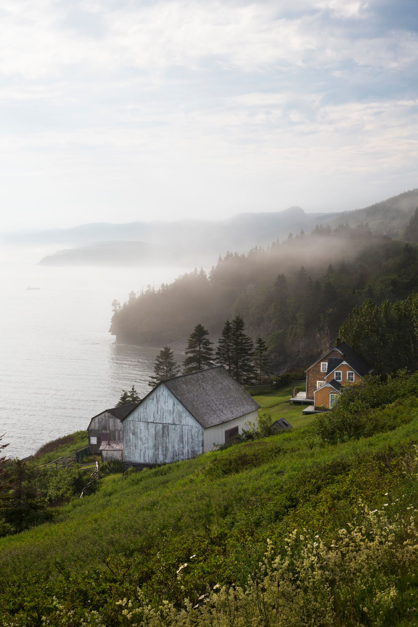 Rustic barn and house on foggy coastal hillside with ocean views.