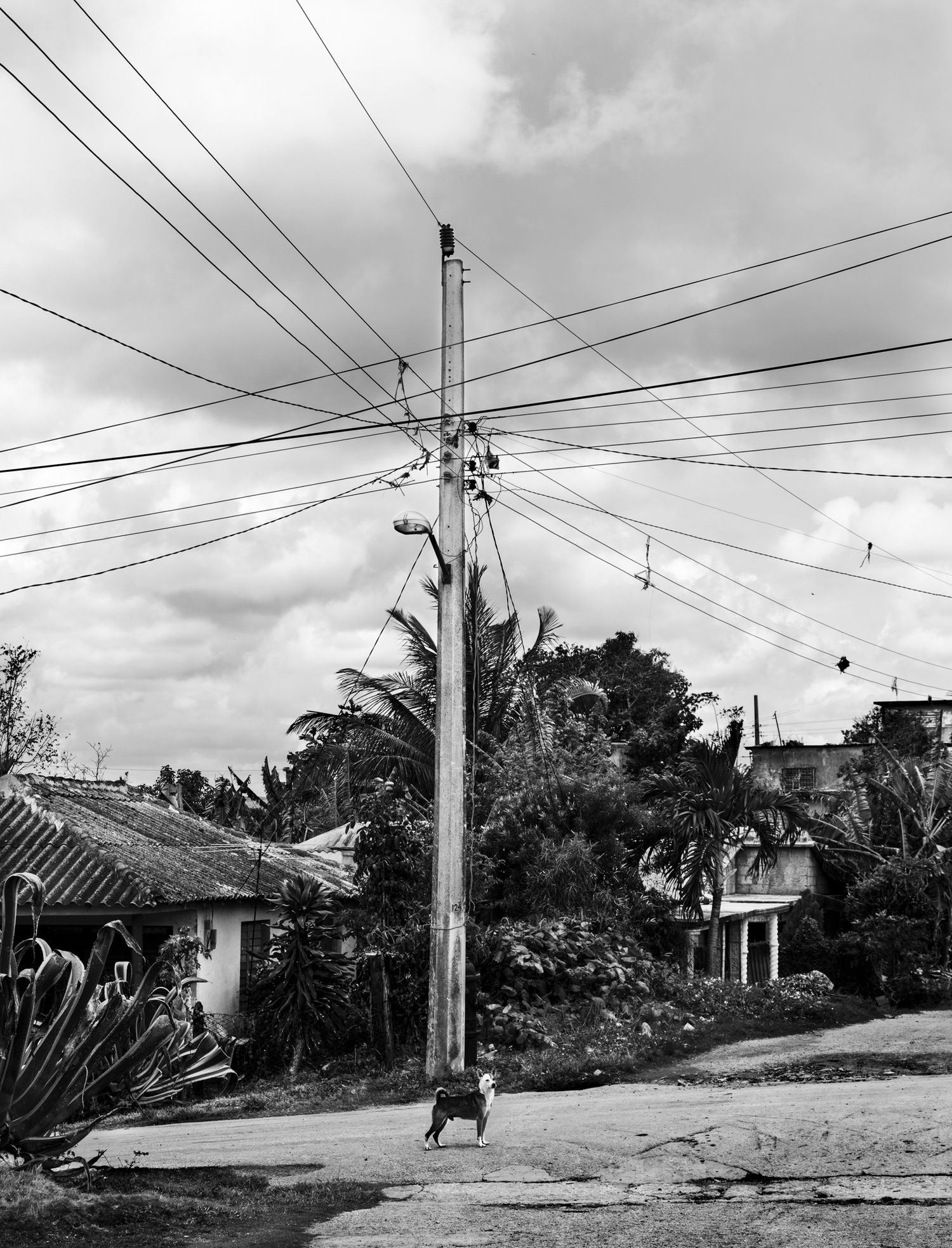 Black and white street scene with utility poles and power lines against cloudy sky.