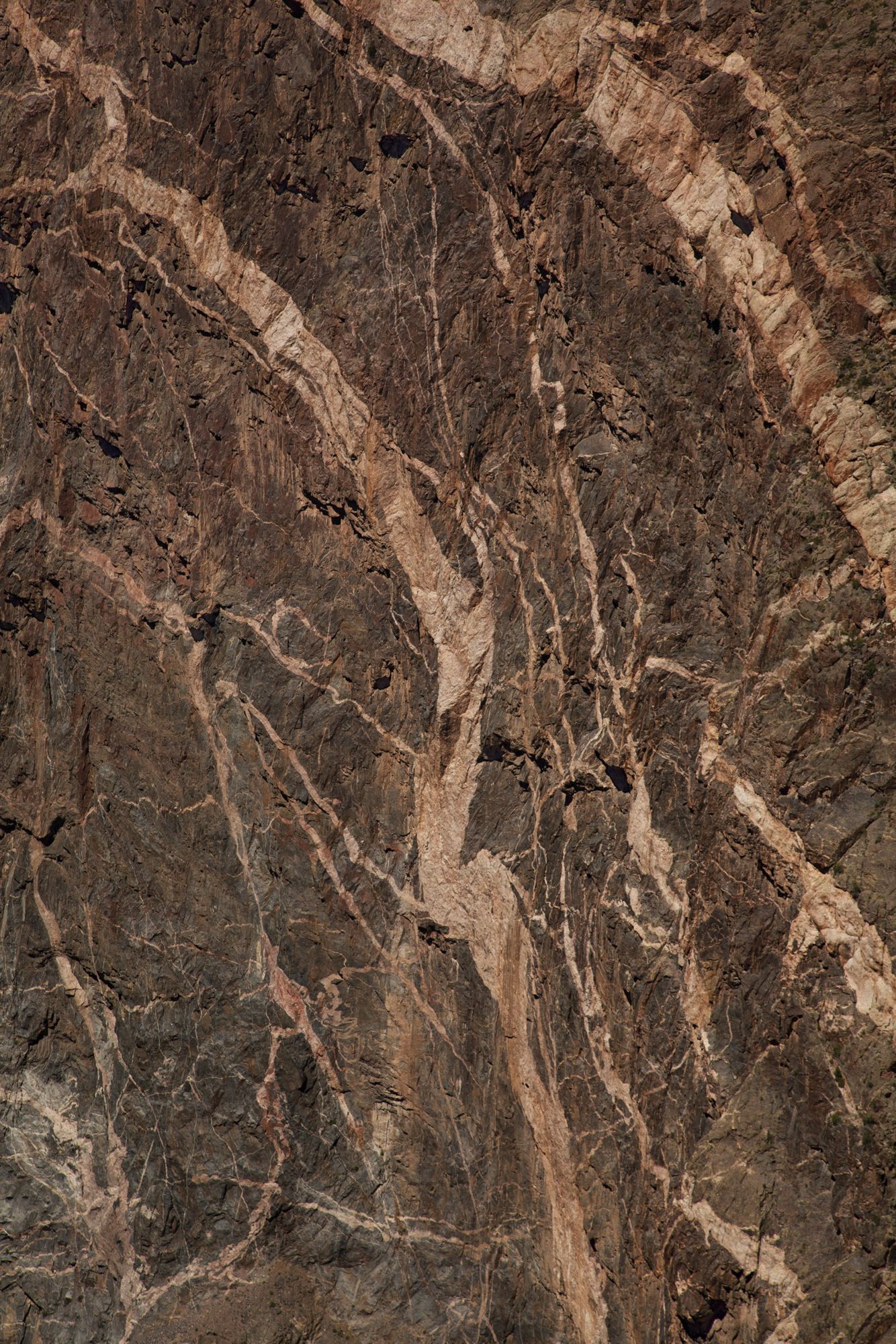 Dark brown marble texture with beige veining and natural stone patterns creating an elegant surface design.