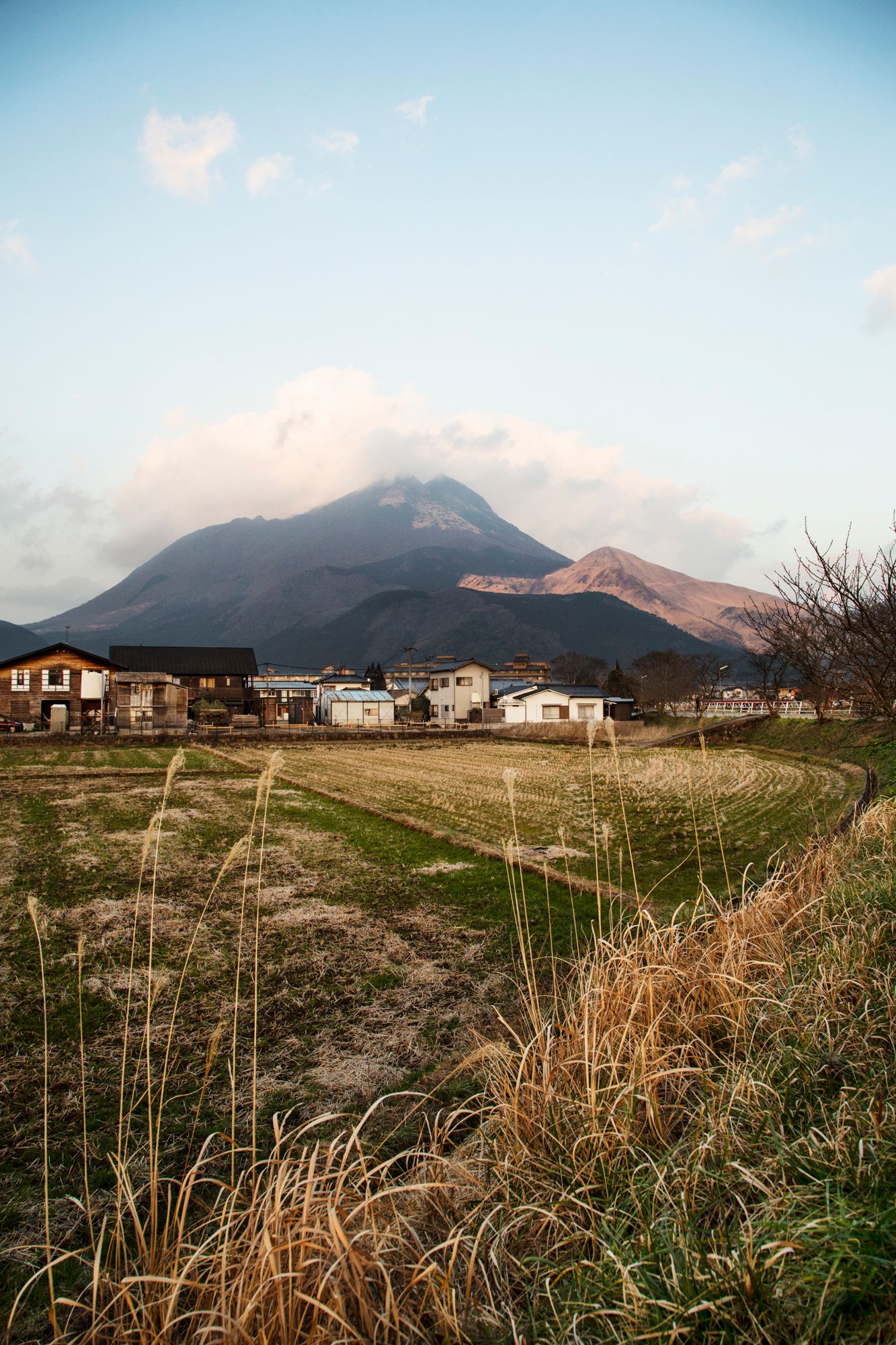 Mountain landscape with golden grass fields and residential buildings in the distance.
