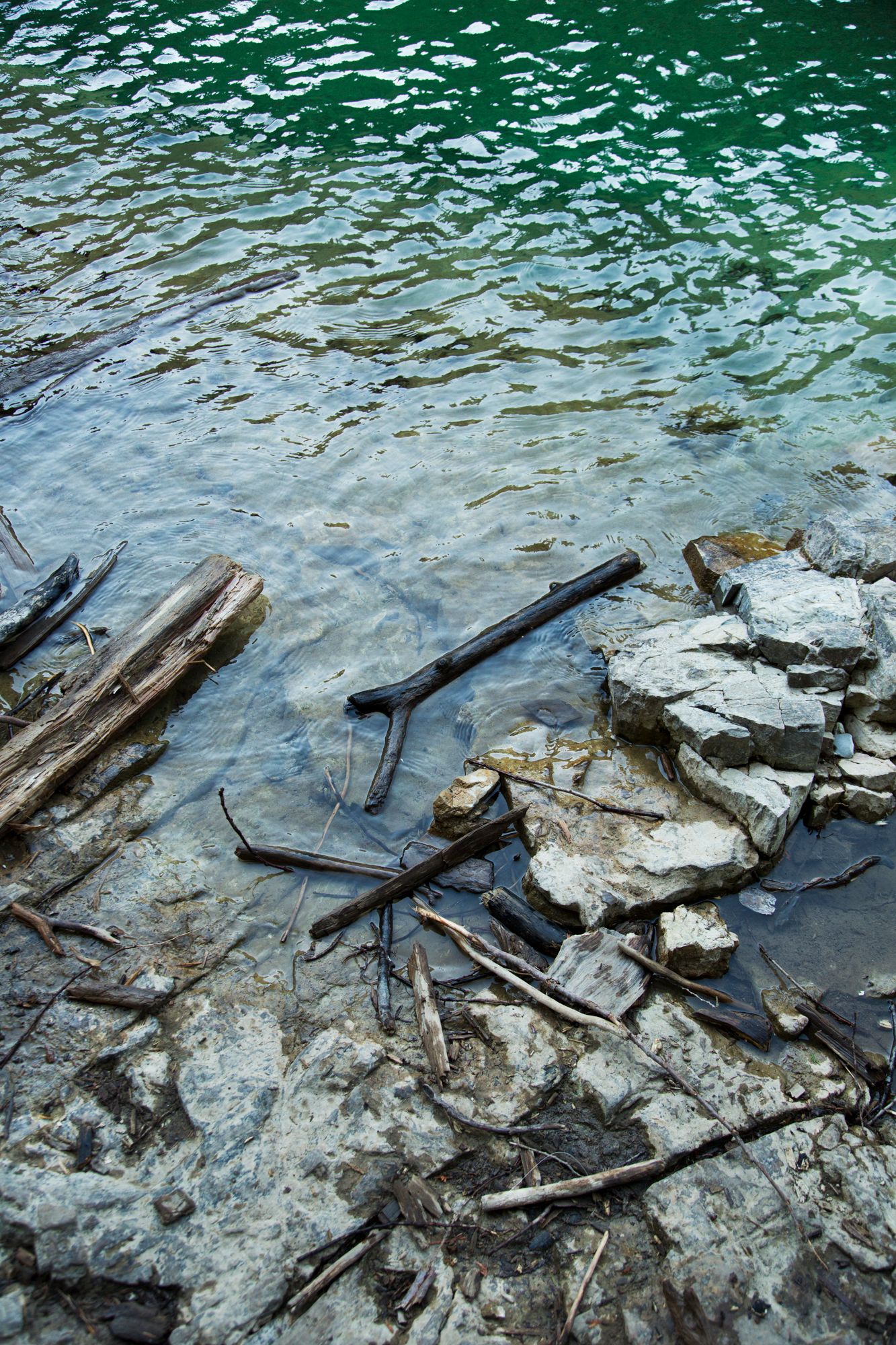Driftwood and rocks along the shoreline of emerald green water.