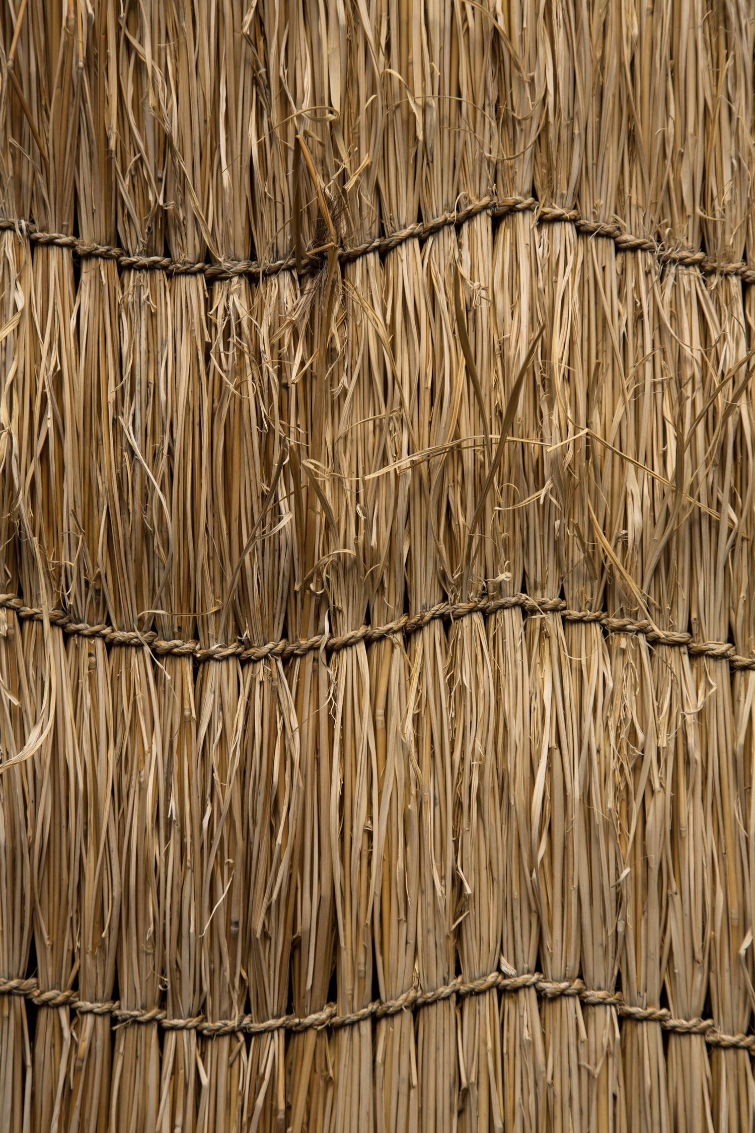 Close-up view of dried grass or straw arranged in rows with dark string patterns.