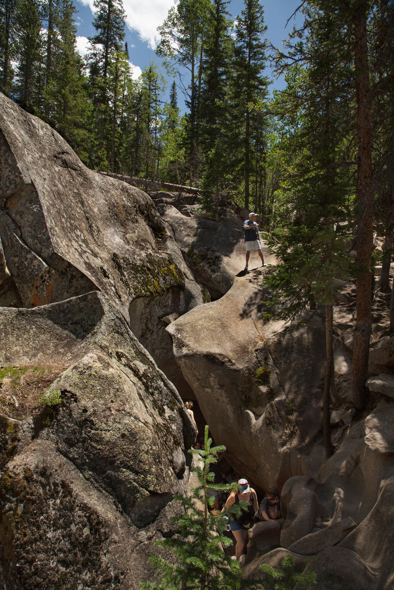 Mountain bikers navigate rocky terrain through dense forest on challenging mountain trail.