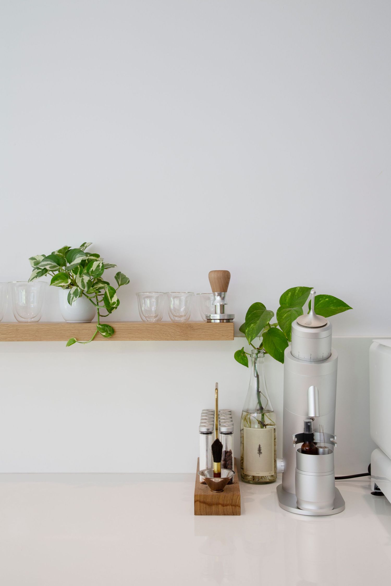 Minimalist white shelf with plants, glassware, and decorative objects in a clean modern setting.