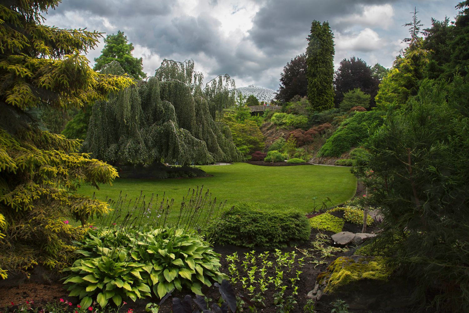Lush garden landscape with diverse foliage and trees under moody storm clouds.