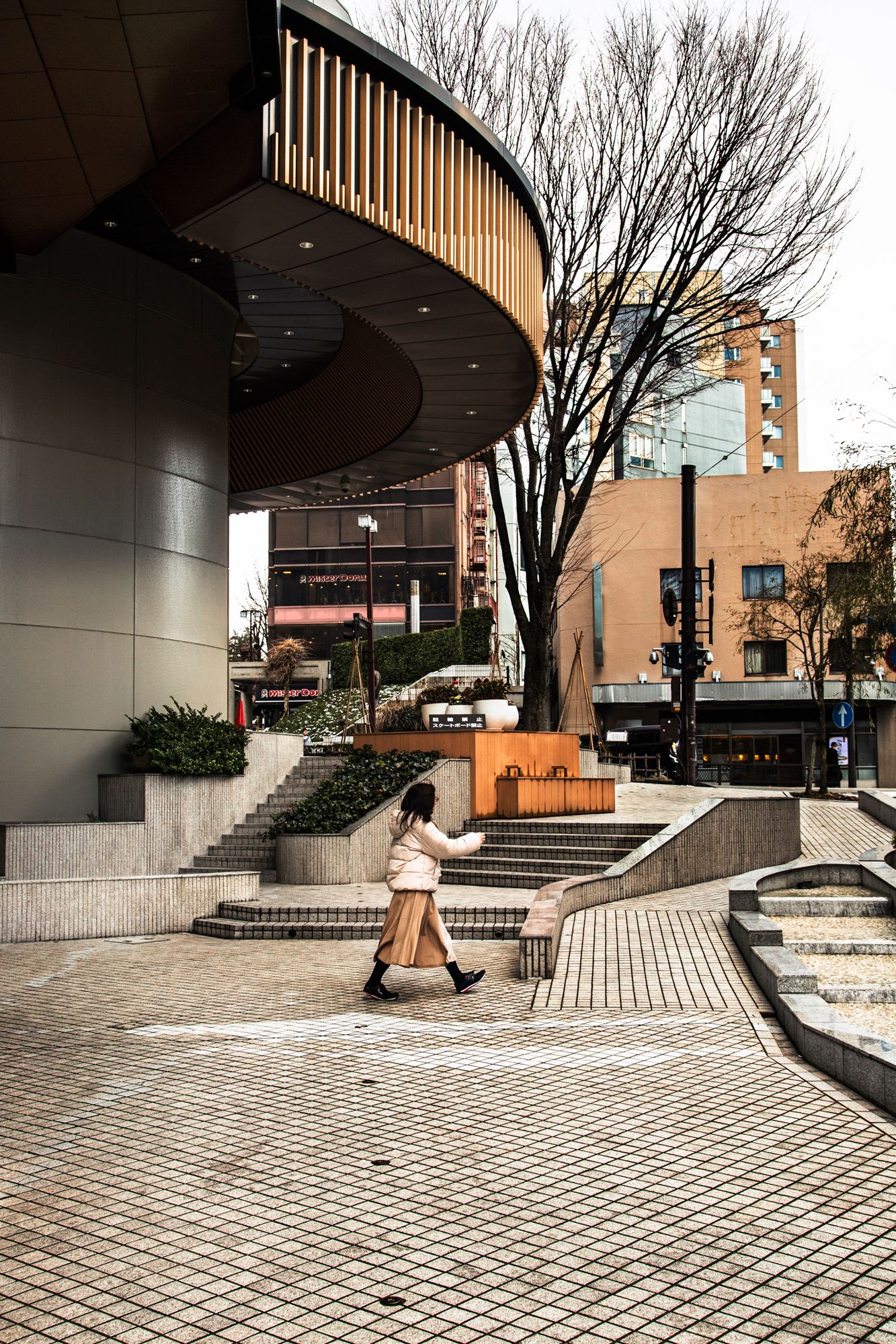 Modern architectural plaza with patterned stone pavement and curved wooden structure.