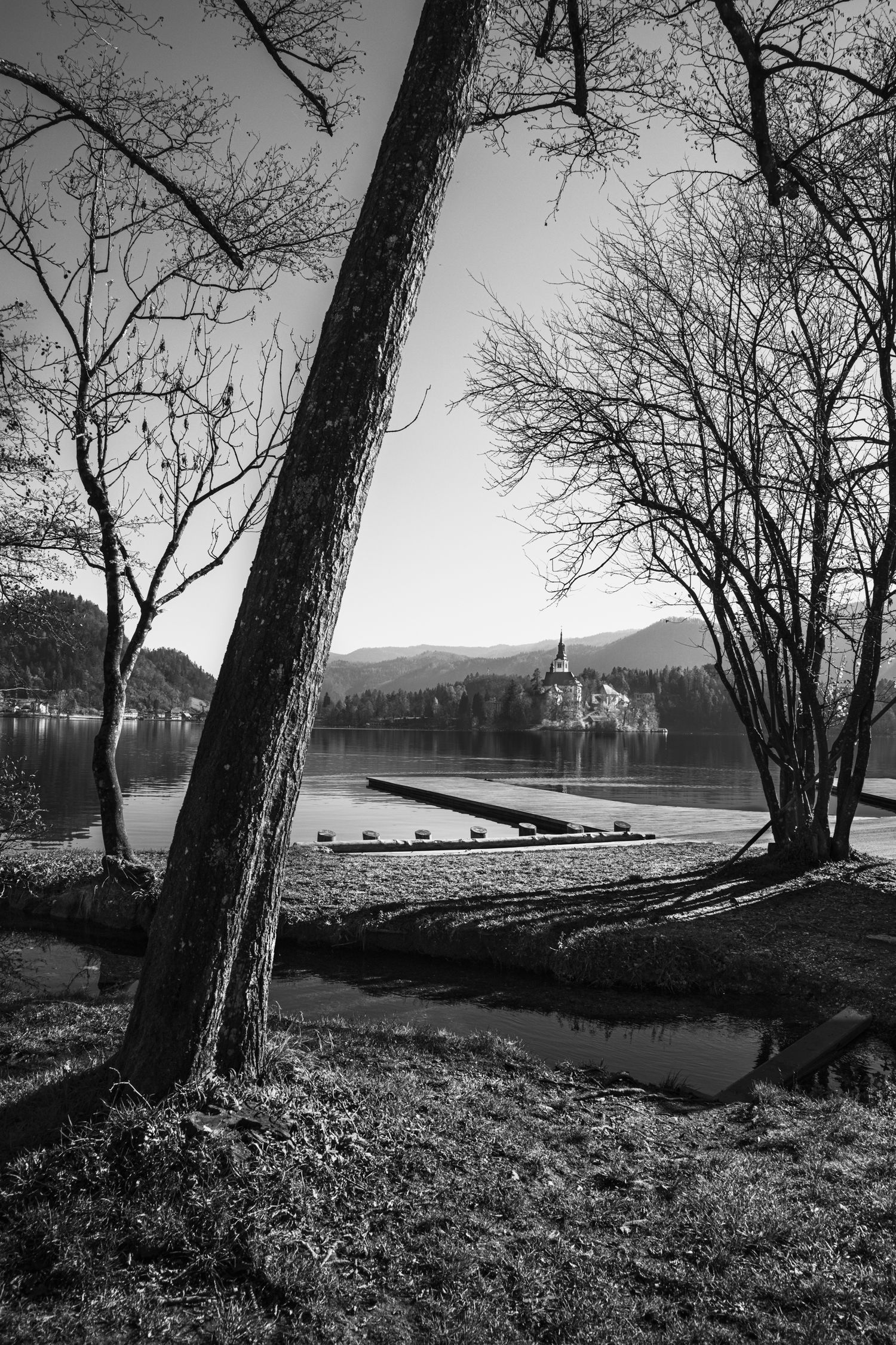 Black and white photo of Lake Bled with island church viewed through bare trees and a wooden dock in Slovenia.