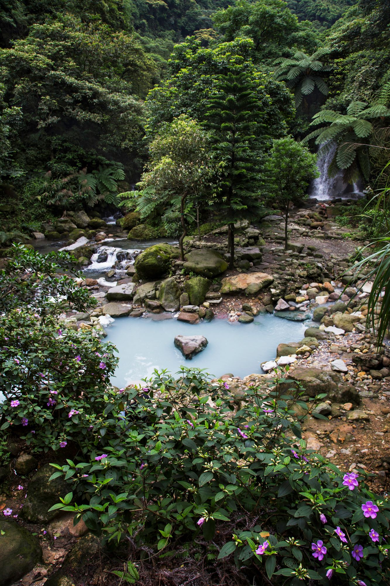 Serene stream with cascading waterfalls surrounded by lush greenery and purple wildflowers.