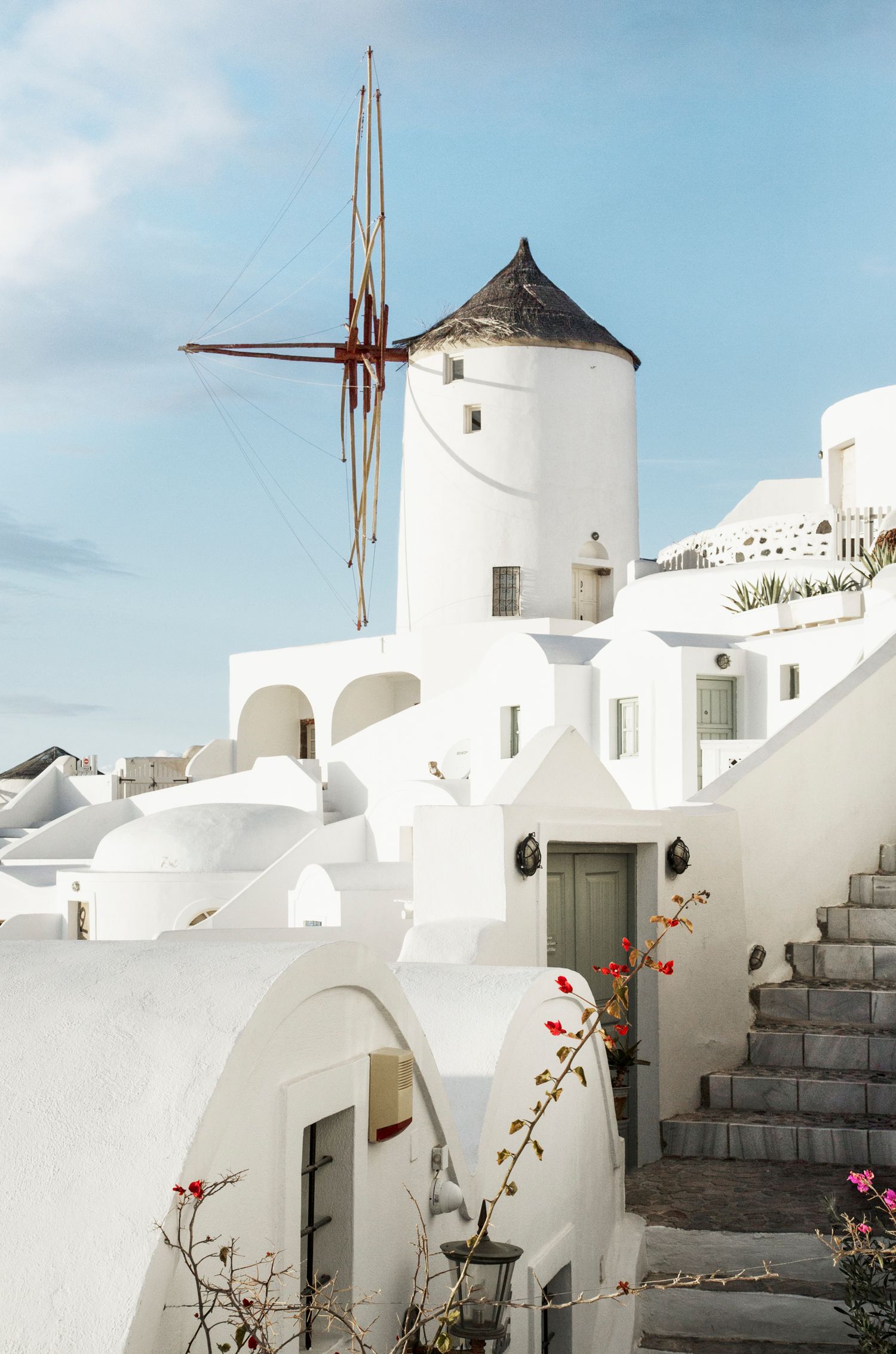 Traditional white windmill with red blades stands among Cycladic architecture with flowering plants in Santorini, Greece.