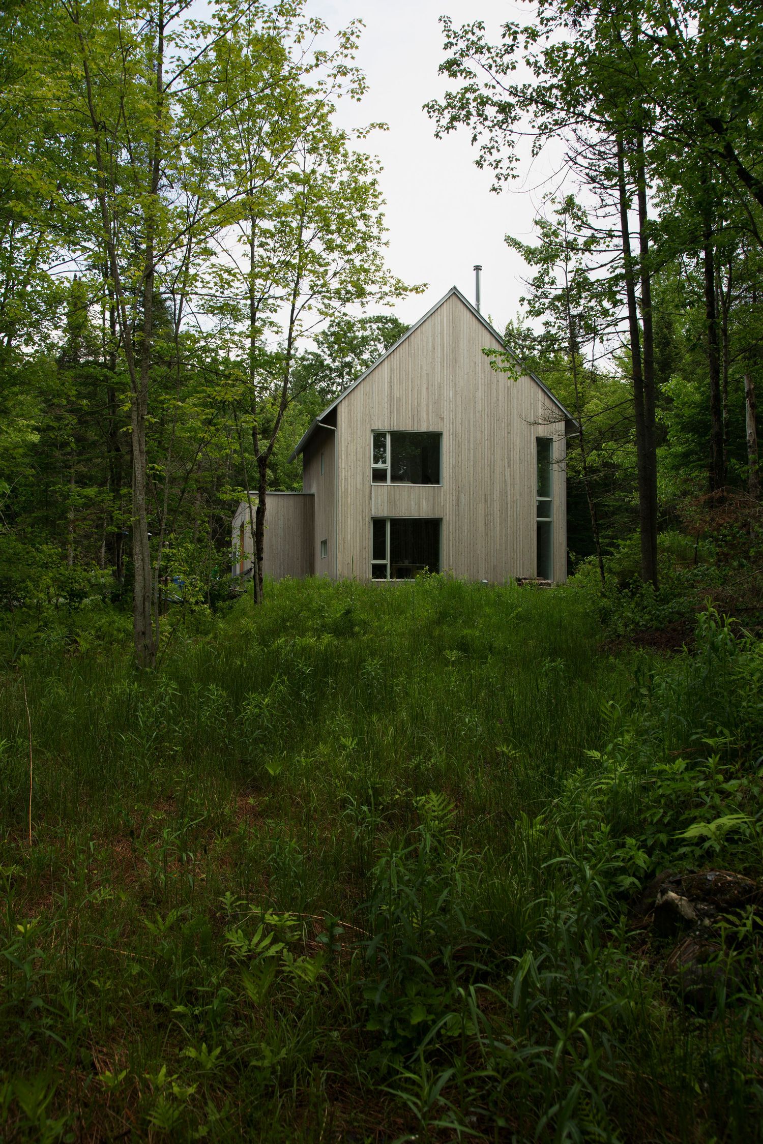 Modern wood-clad houses nestled on a hillside surrounded by lush green forest.